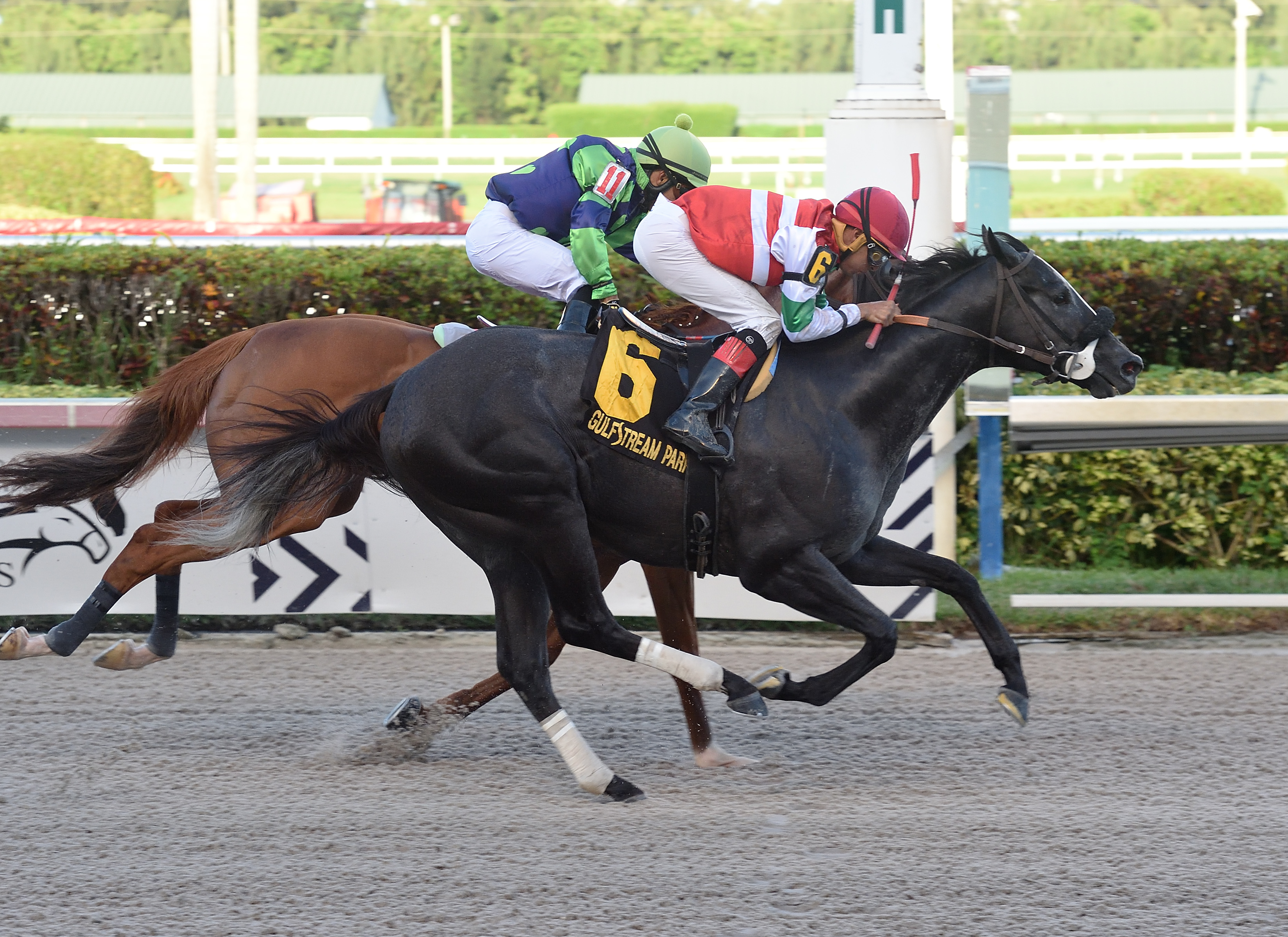 Art G Is Back wins the 2019 Benny the Bull Stakes