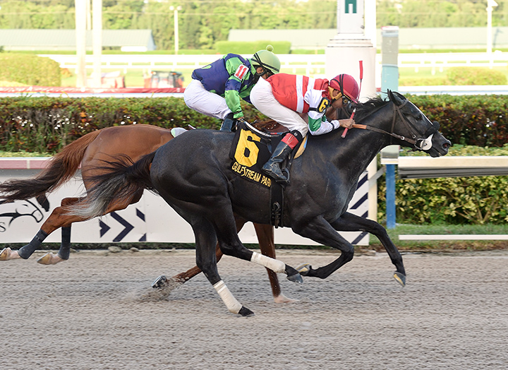 Art G is Back wins the 2019 Benny the Bull Stakes at Gulfstream Park