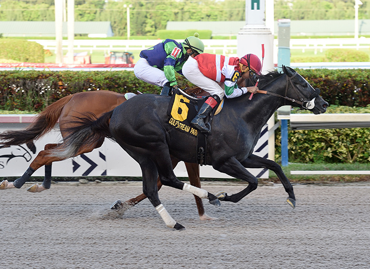 Art G is Back wins the 2019 Benny the Bull Stakes at Gulfstream Park