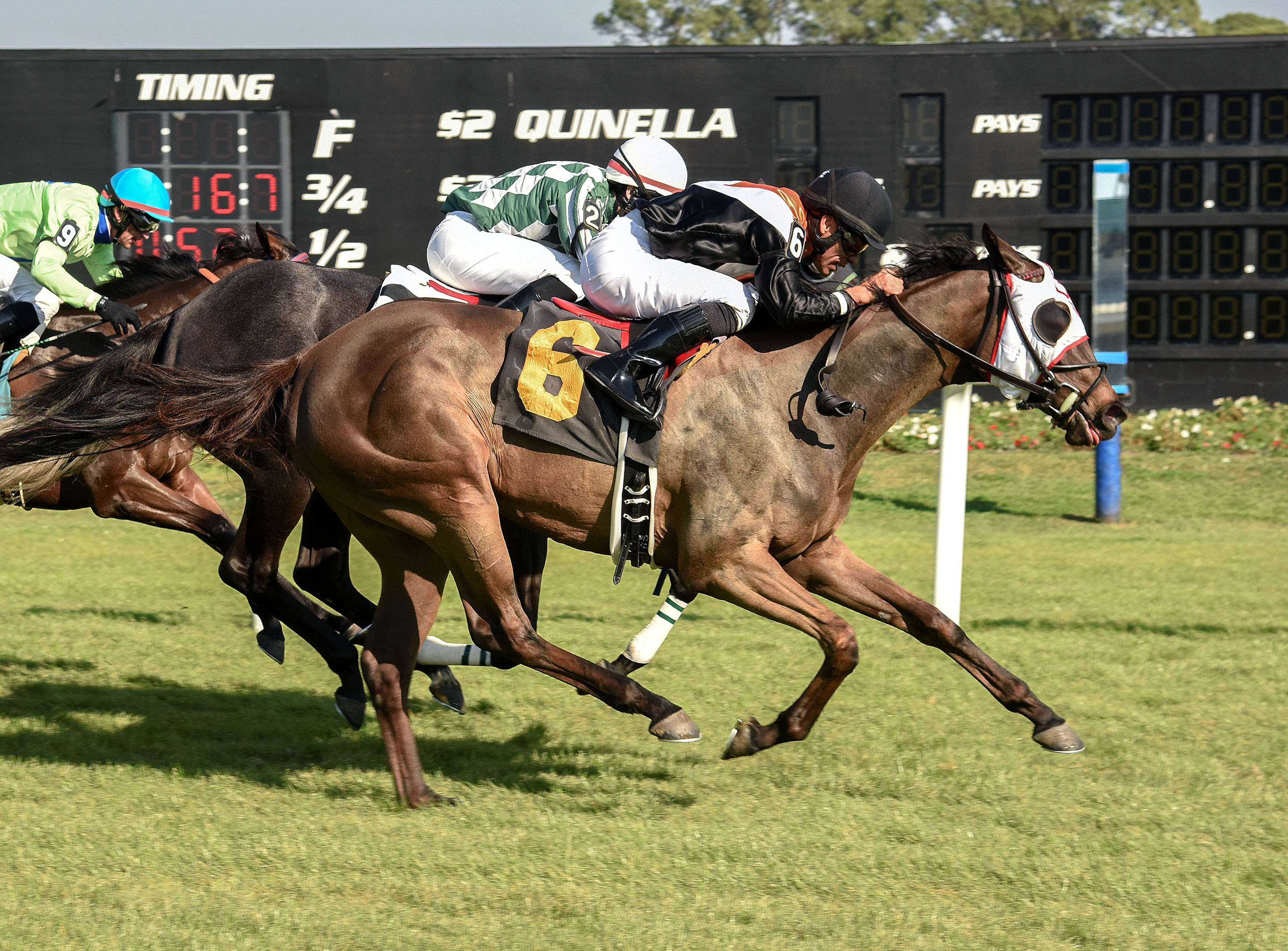 Art Institute wins a maiden race at Tampa Bay Downs