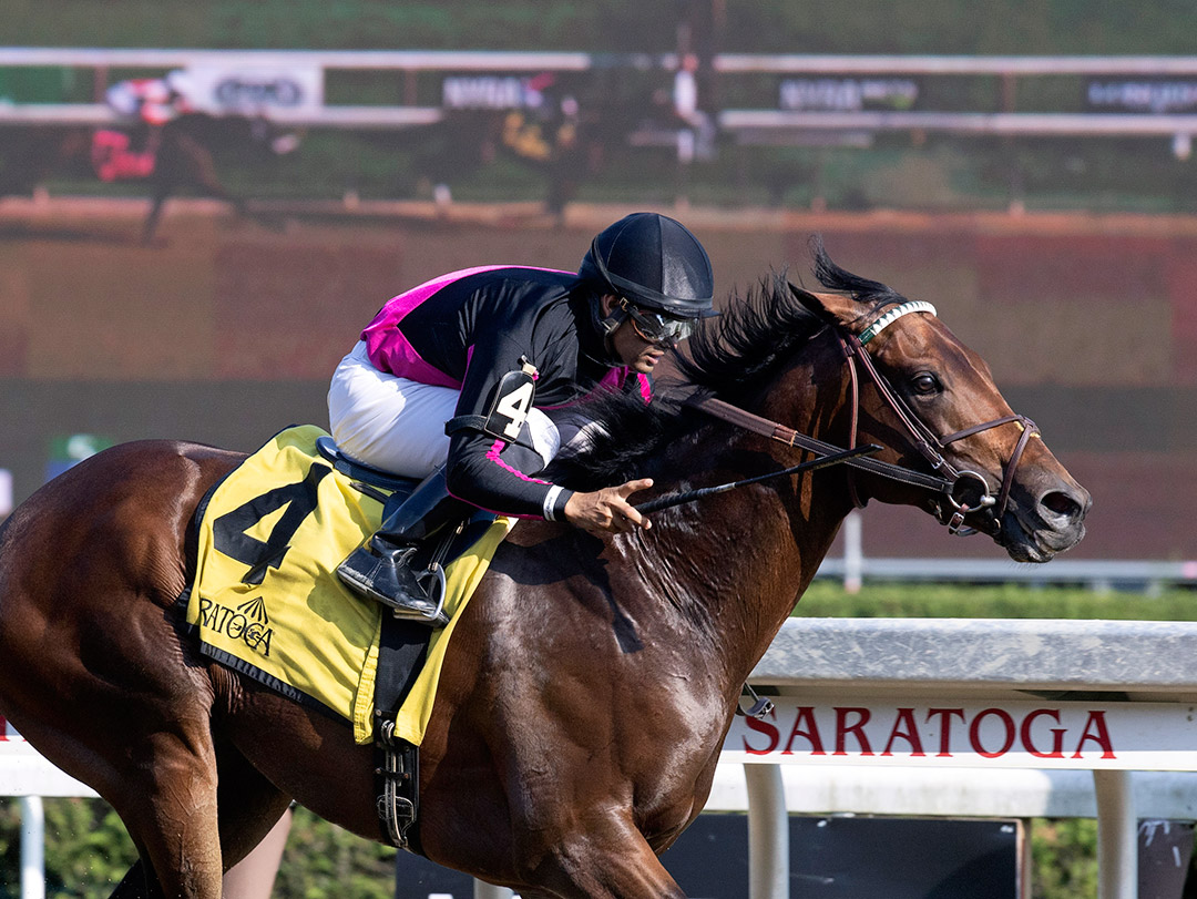 Art Collector wins the 2021 Alydar Stakes at Saratoga Race Course