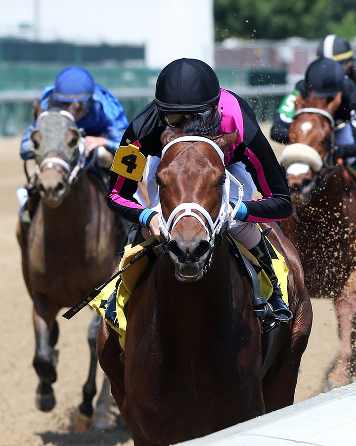 Art Collector wins a June 13 allowance optional claimer at Churchill Downs