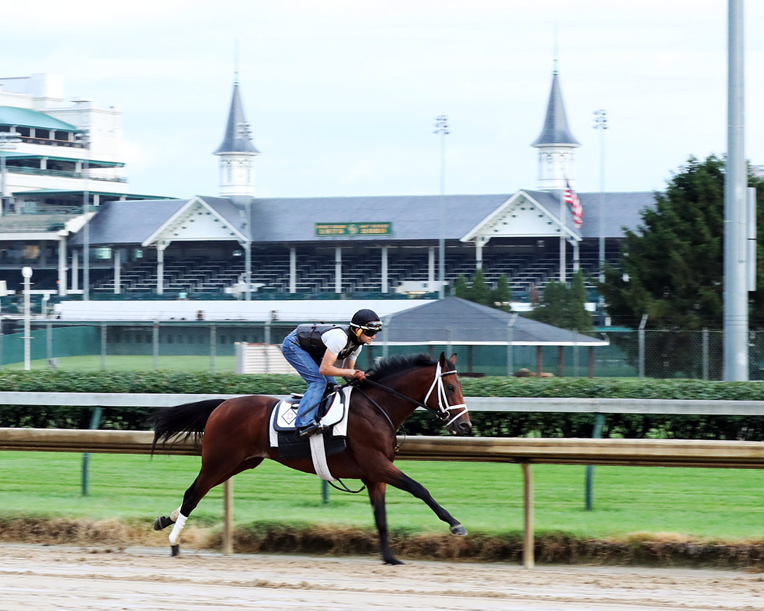 Art Collector trains at Churchill Downs on Aug. 1