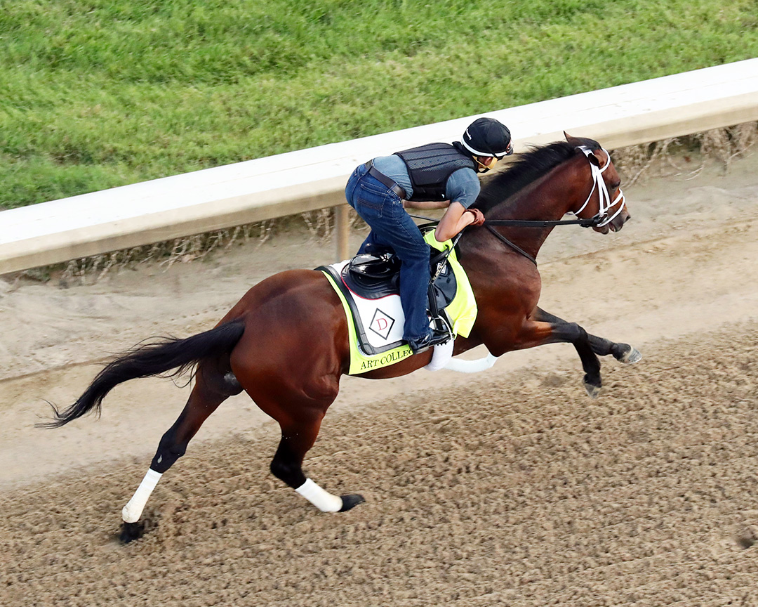 Art Collector trains at Churchill Downs on Aug. 28