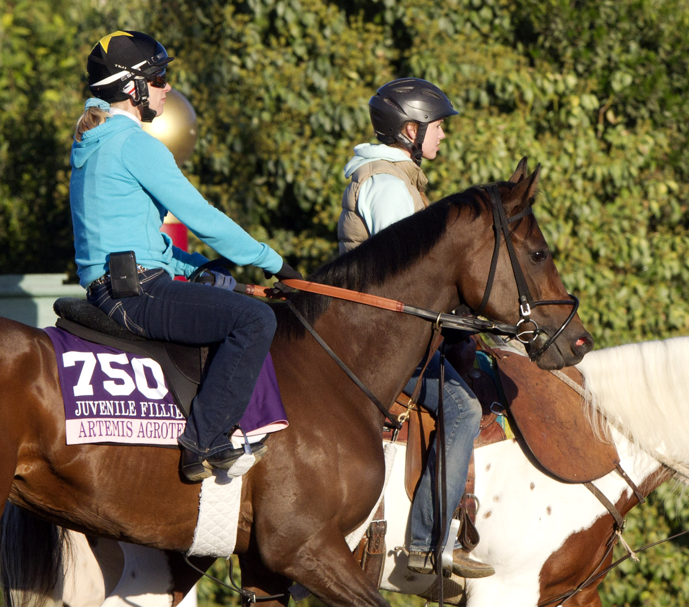 Artemis Agrotera at Santa Anita