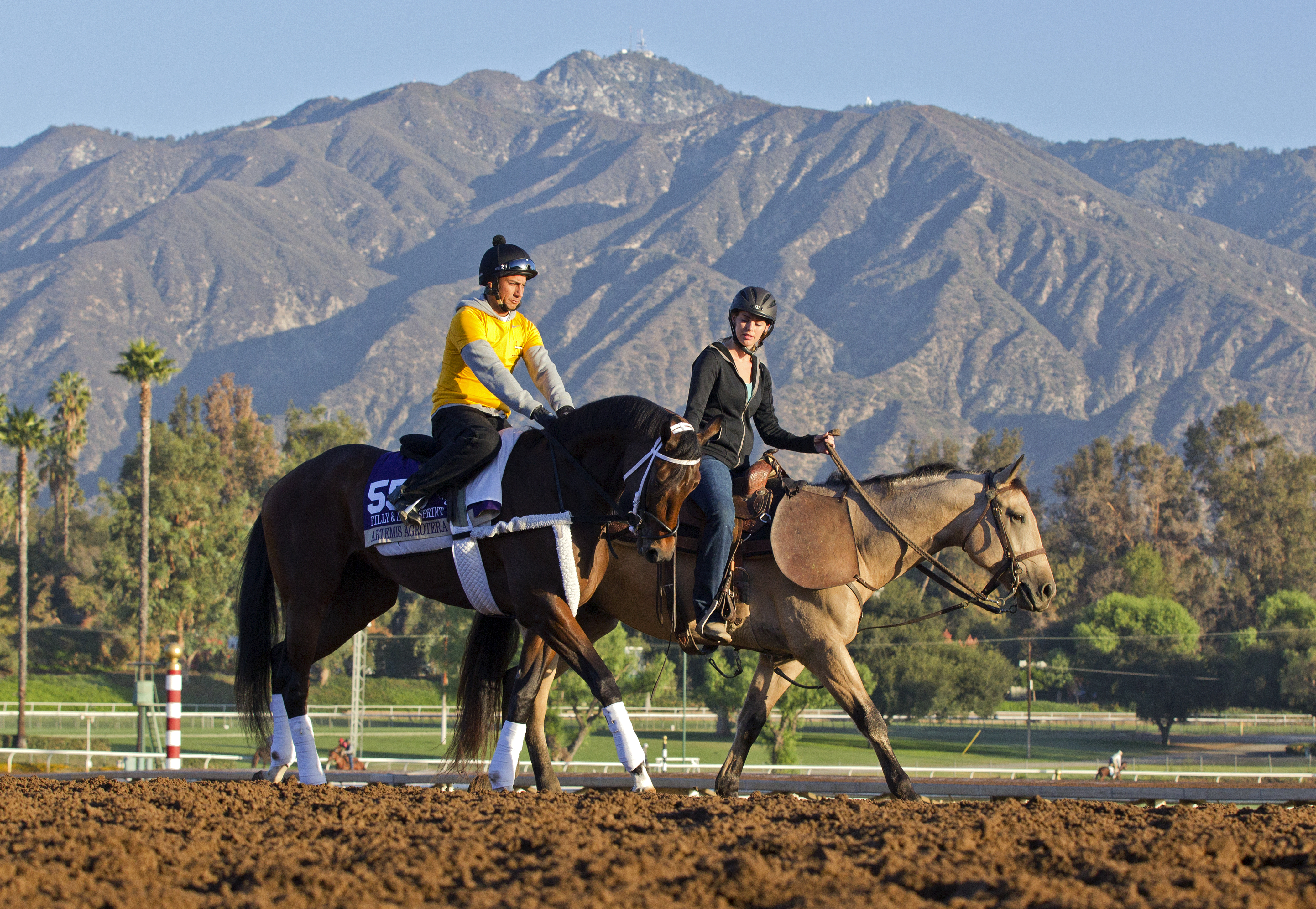Artemis Agrotera at Santa Anita on Oct. 28