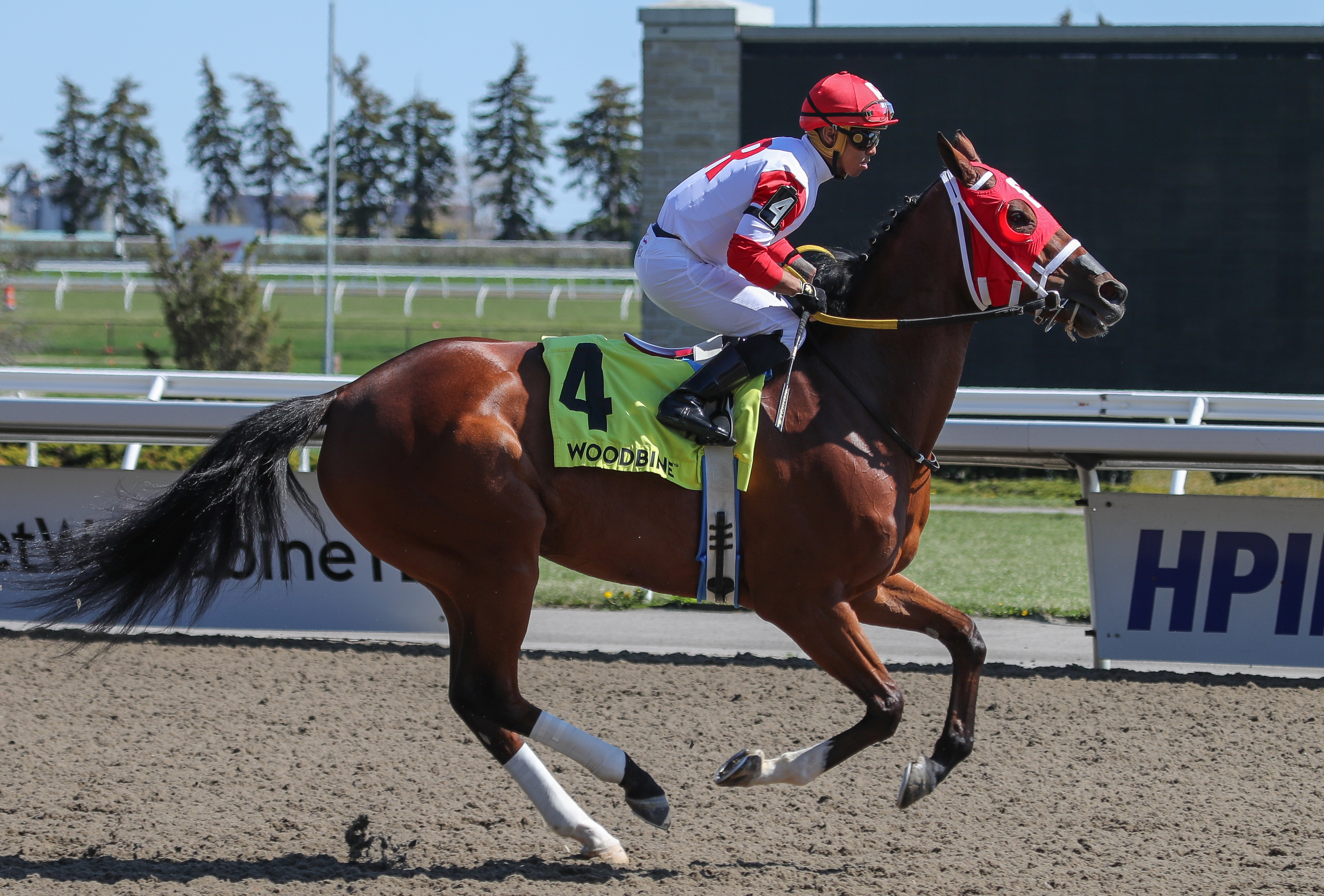 Artie's Princess on the track prior to the Whimsical on May 8 2022