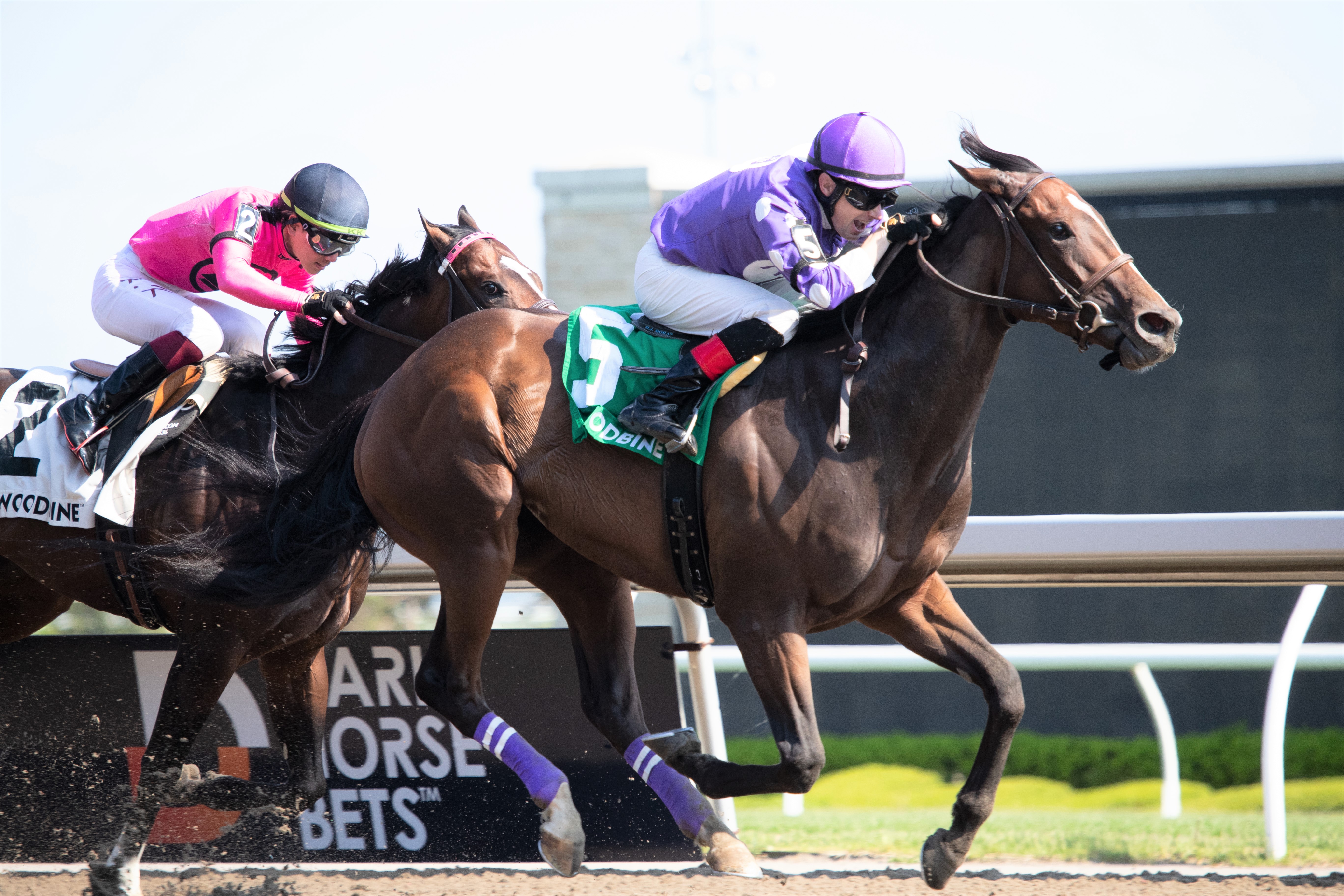 Artie’s Storm wins Eclipse Stakes at Woodbine May 29 2022