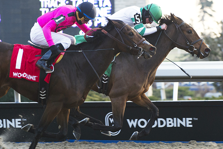Artilena wins the 2018 Ontario Lassie Stakes