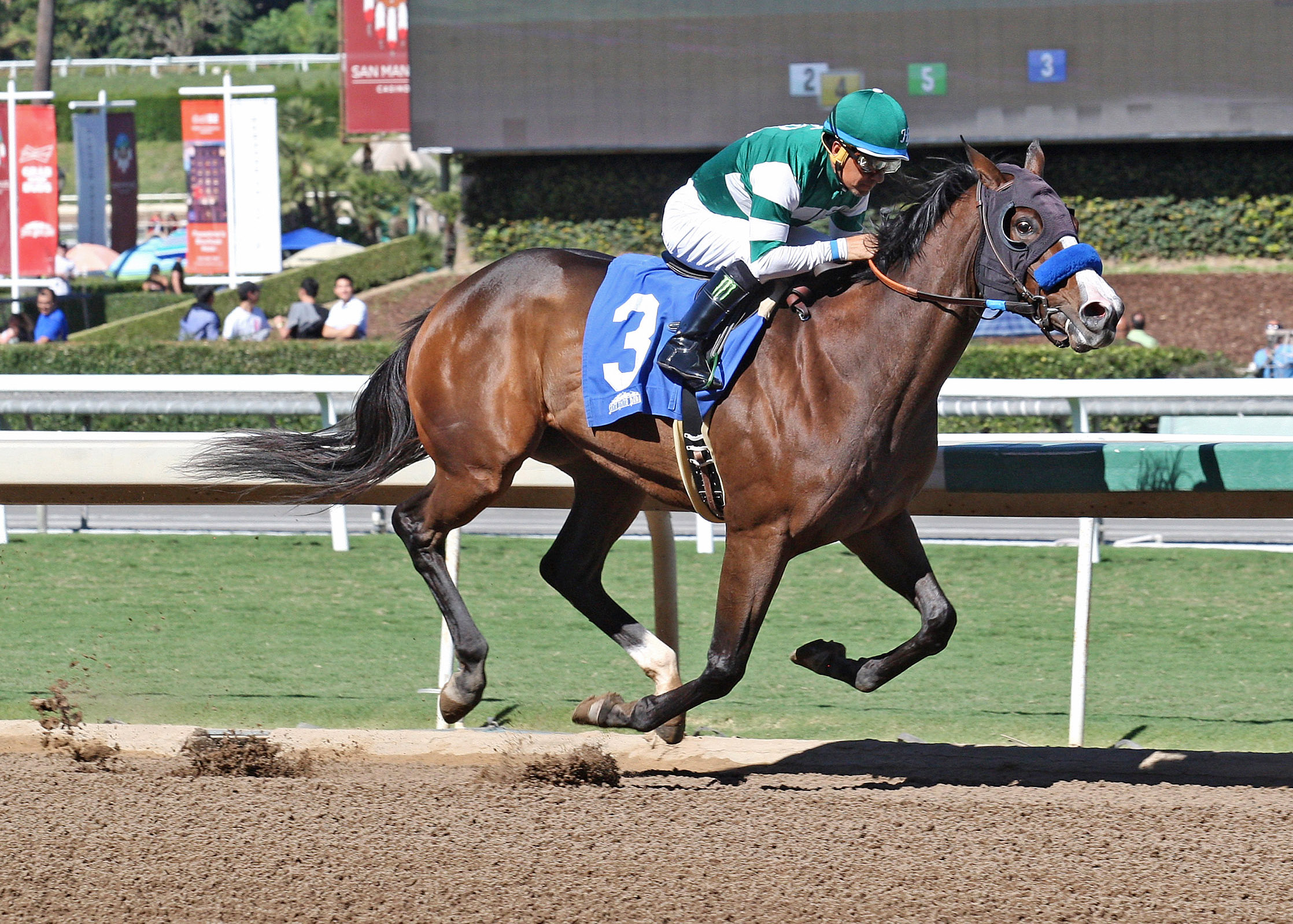 Artistic Diva wins the 2017 Anoakia Stakes