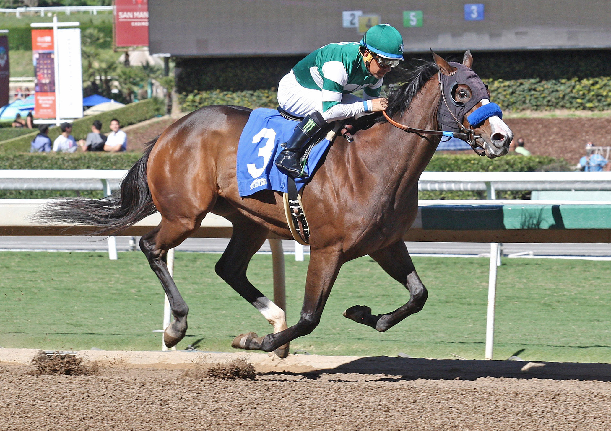 Artistic Diva wins the 2017 Anoakia Stakes