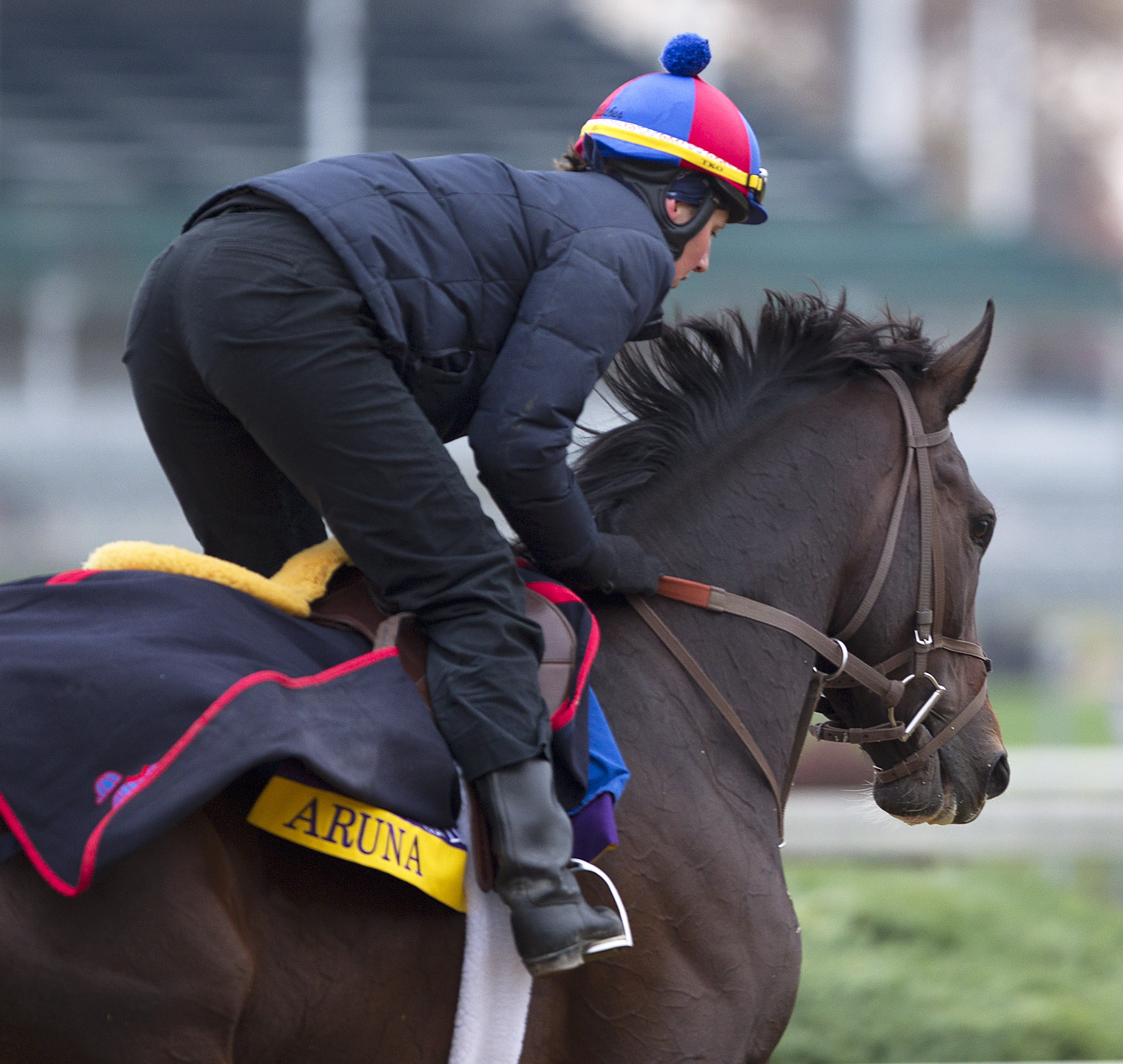 Aruna/gallop