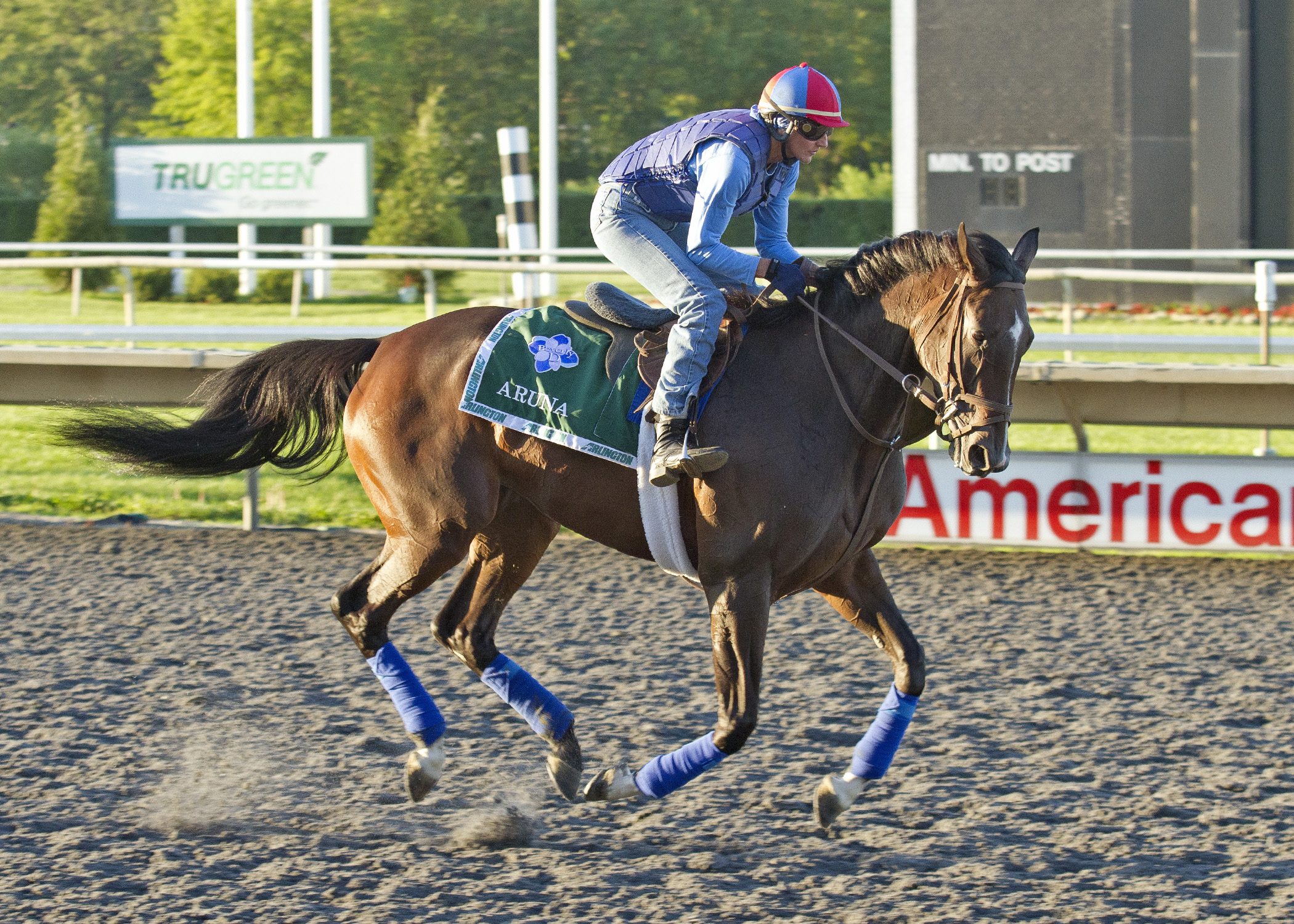 Aruna at Arlington Park