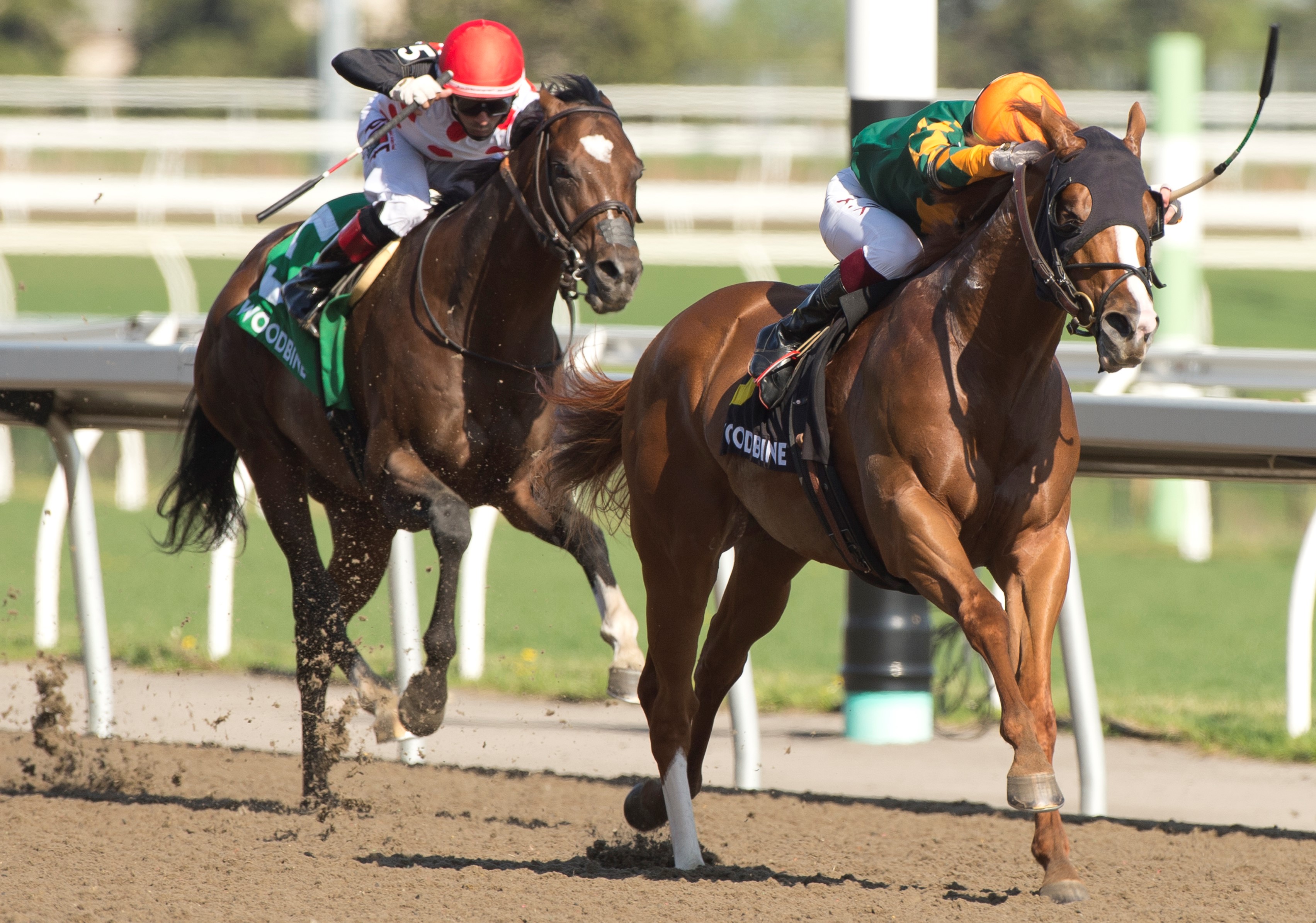 Arzak wins the Jacques Cartier at Woodbine May 15 2022