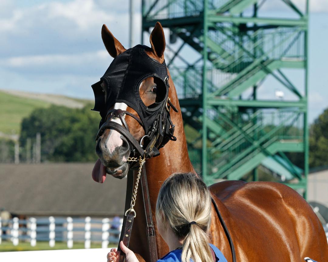 Arzak at Presque Isle.03.8-2-21