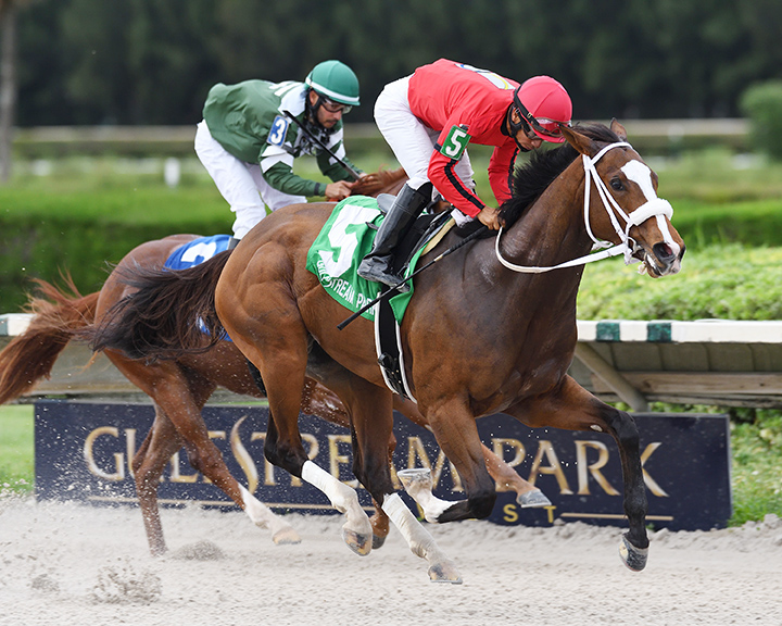 As Seen on Tv wins the 2019 Juvenile Sprint at Gulfstream Park