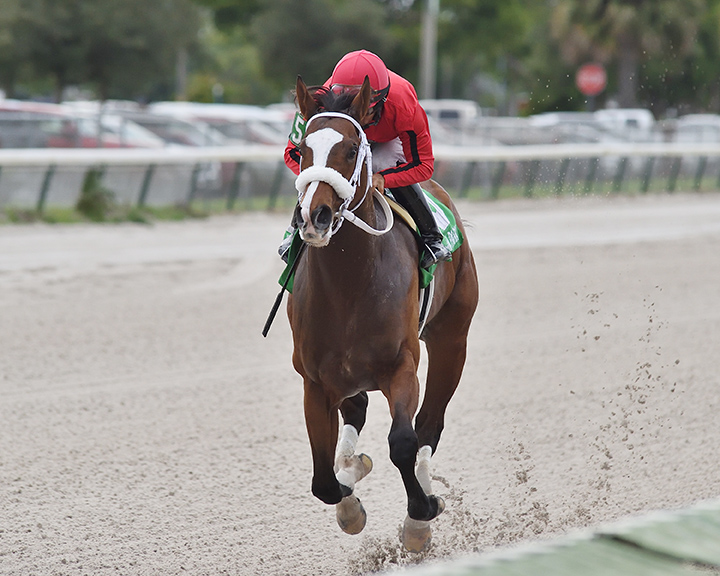 As Seen on Tv wins the 2019 Juvenile Sprint at Gulfstream Park