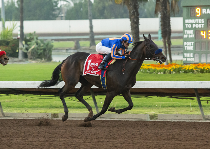 As Time Goes By wins Bayakoa 12-5-21