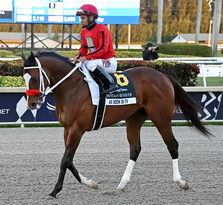 As Seen on Tv at Gulfstream Park in February 2020