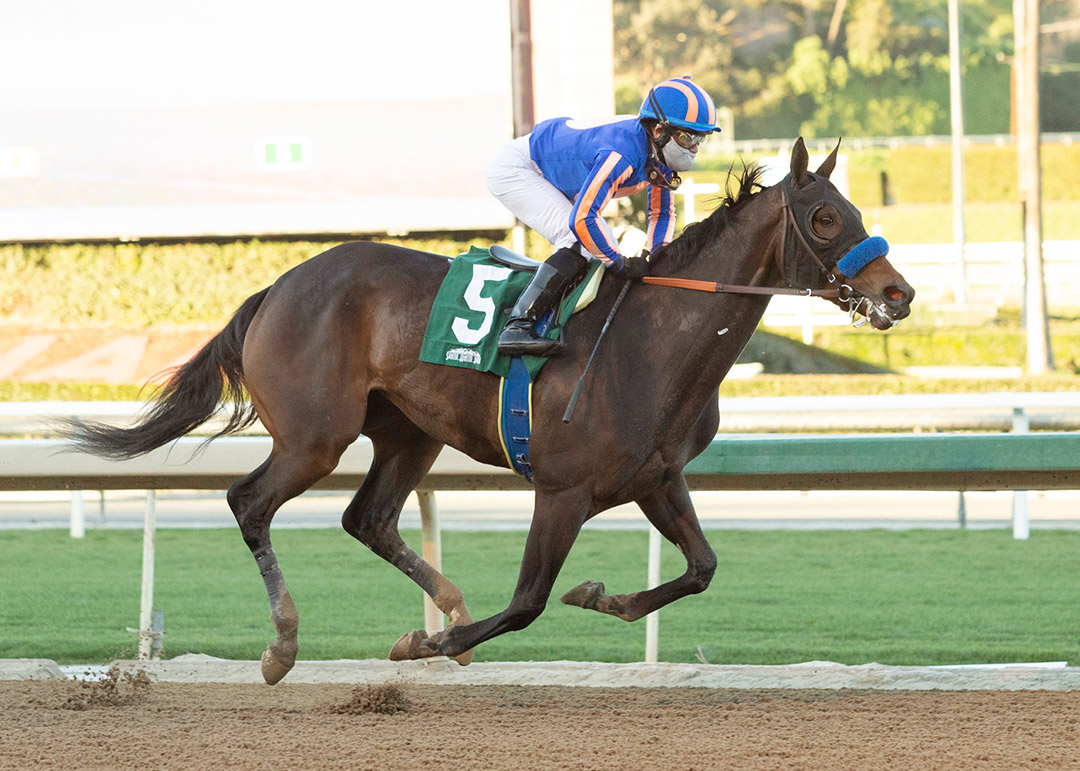 As Time Goes By wins a Jan. 17 allowance race at Santa Anita
