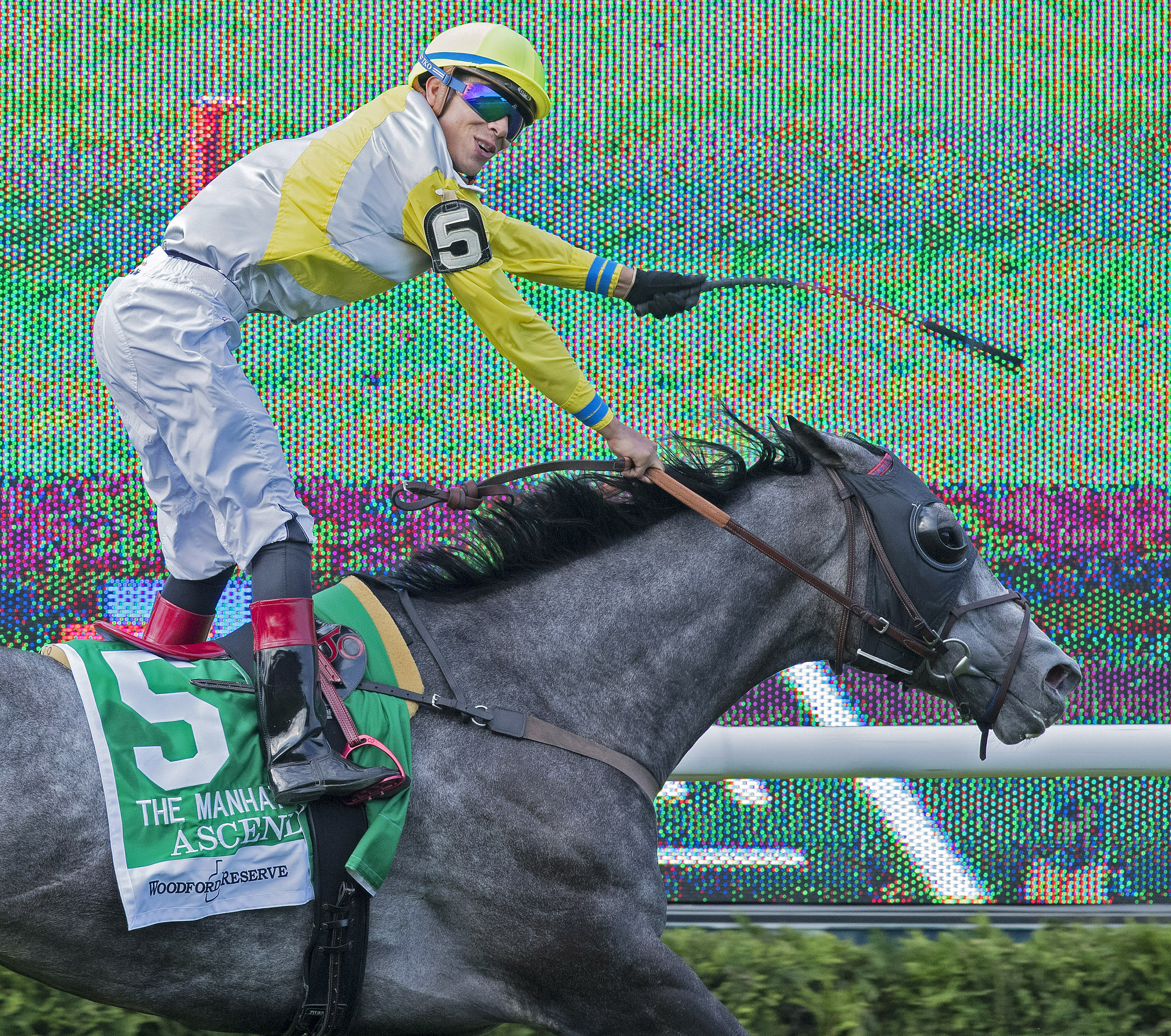 Ascend wins the Manhattan Stakes