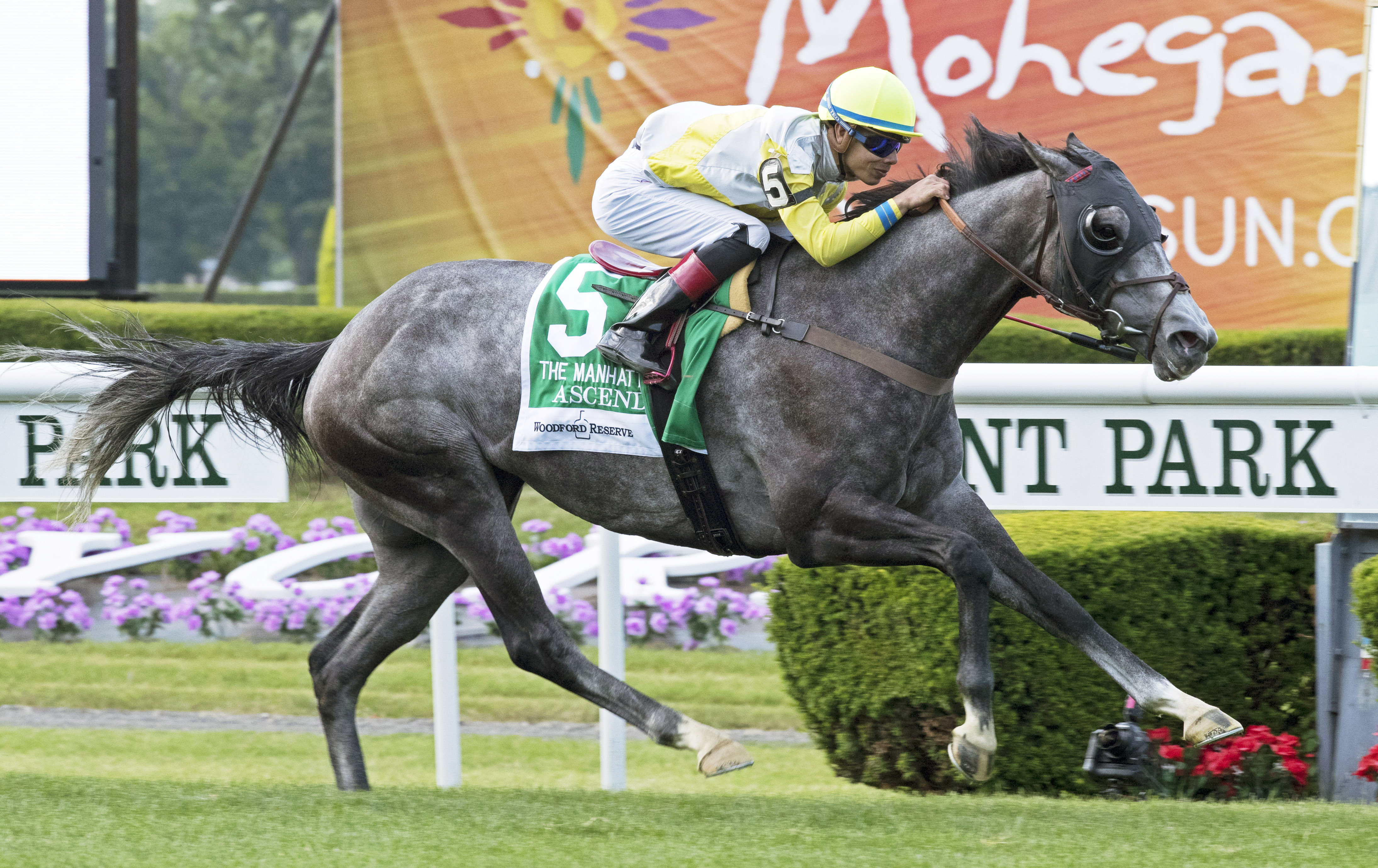 Ascend wins the 2017 Manhattan Stakes