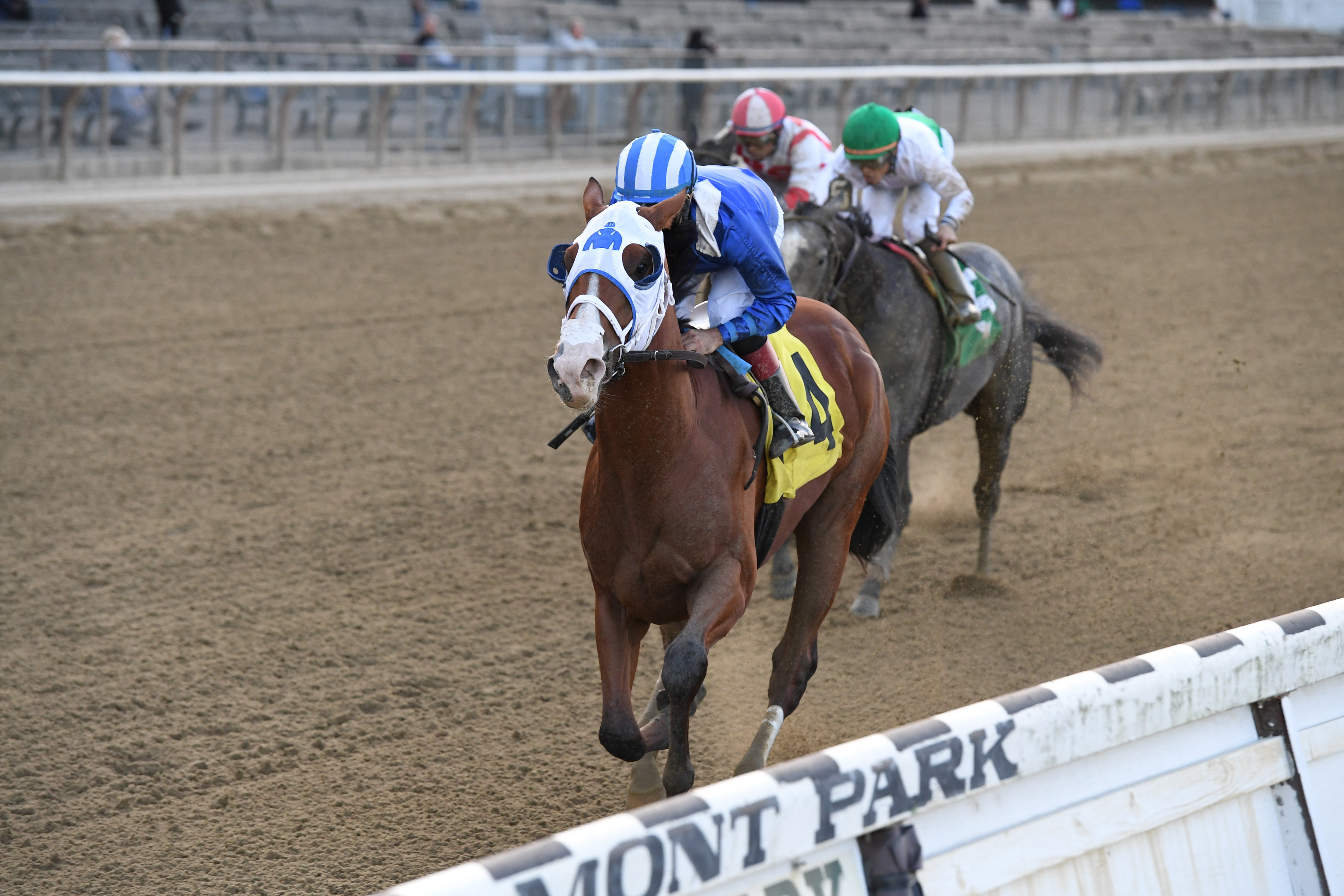 Ashaar wins a maiden race at Belmont on 10.12.19