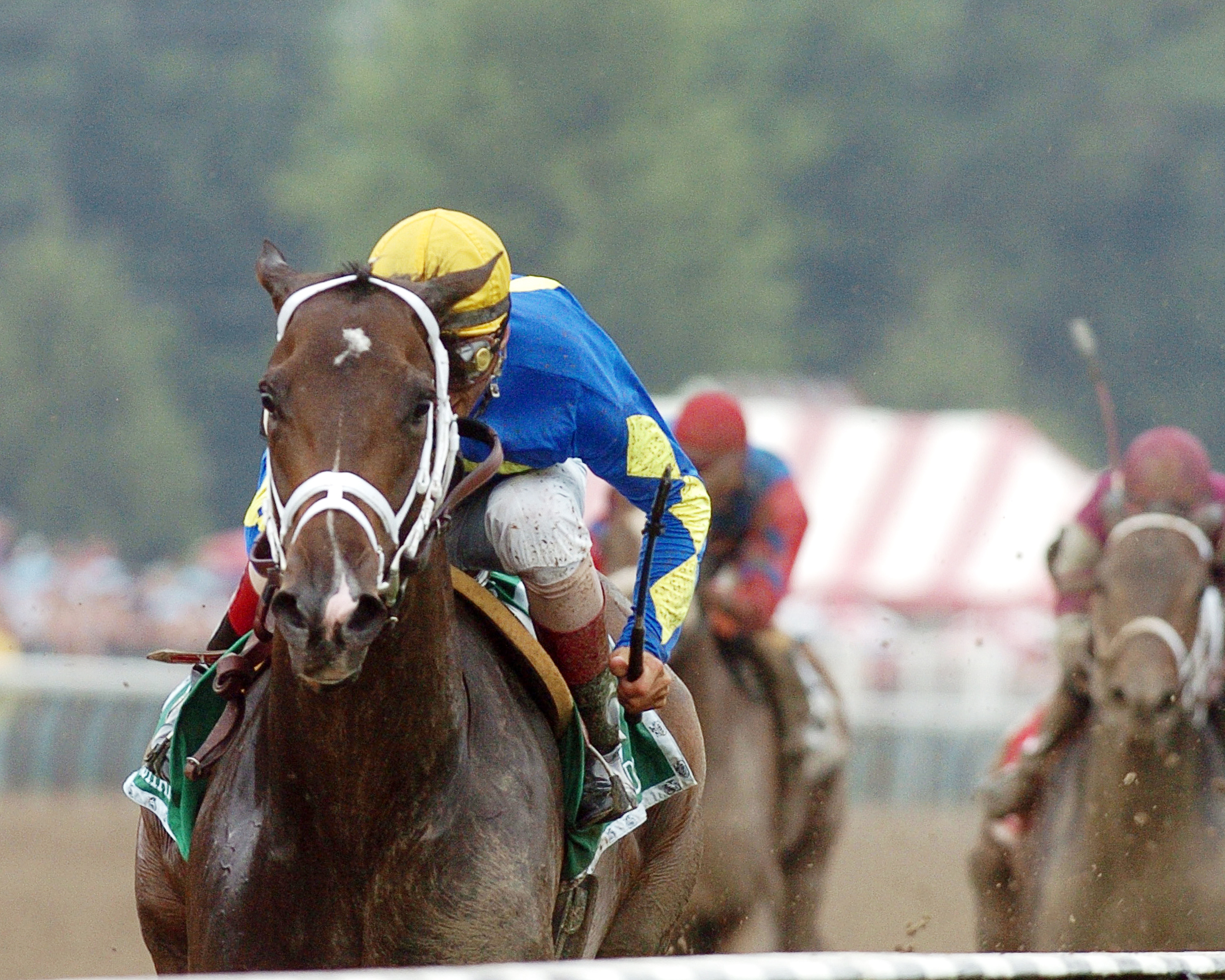 Ashado wins the 2005 Go For Wand Handicap