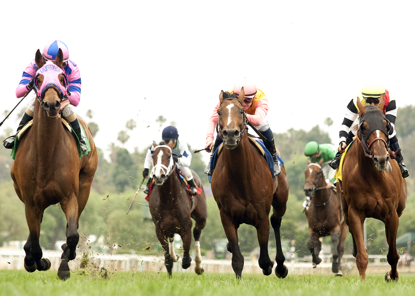 Ashleyluvssugar wins 2015 Whittingham