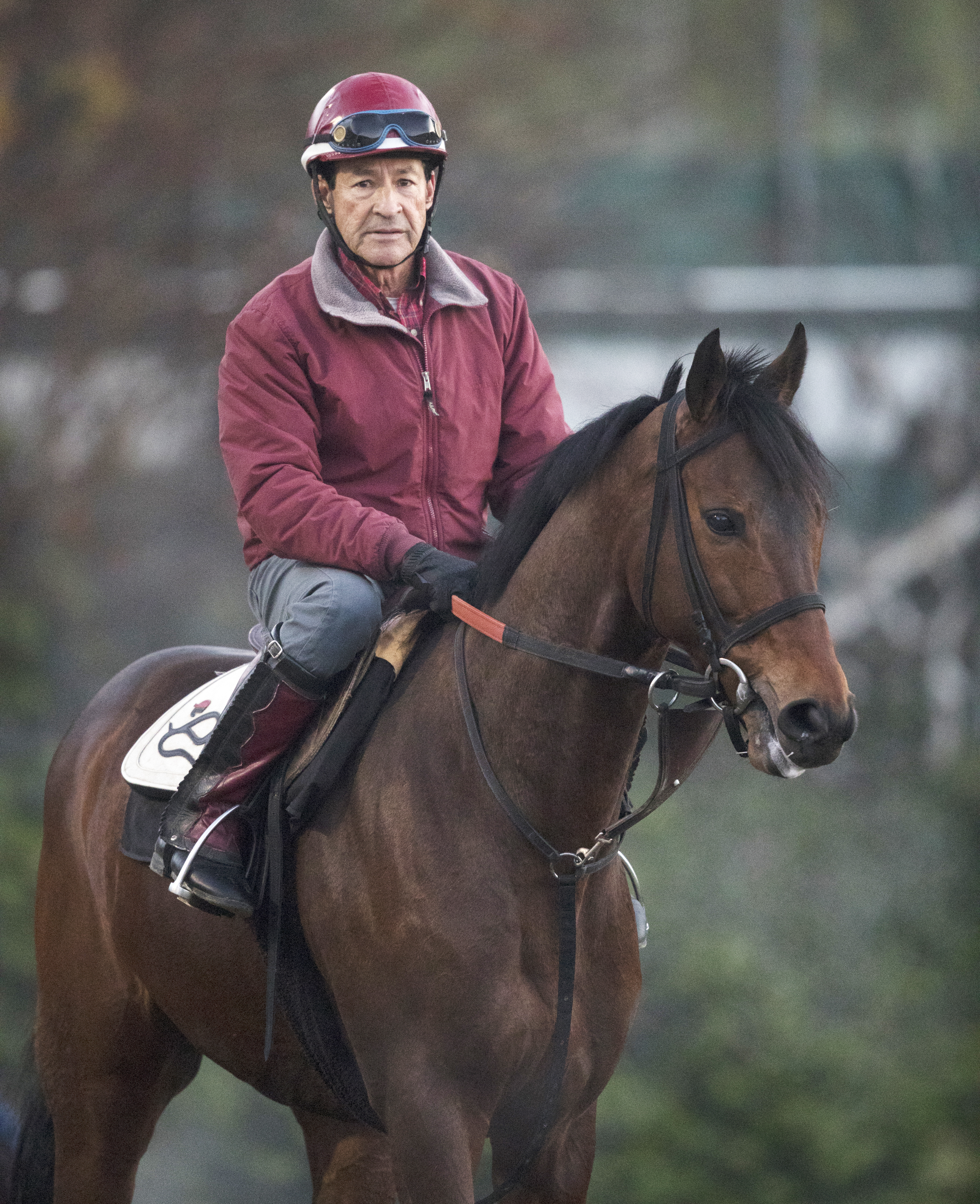 Ashleyluvssugar at Santa Anita on Feb. 28