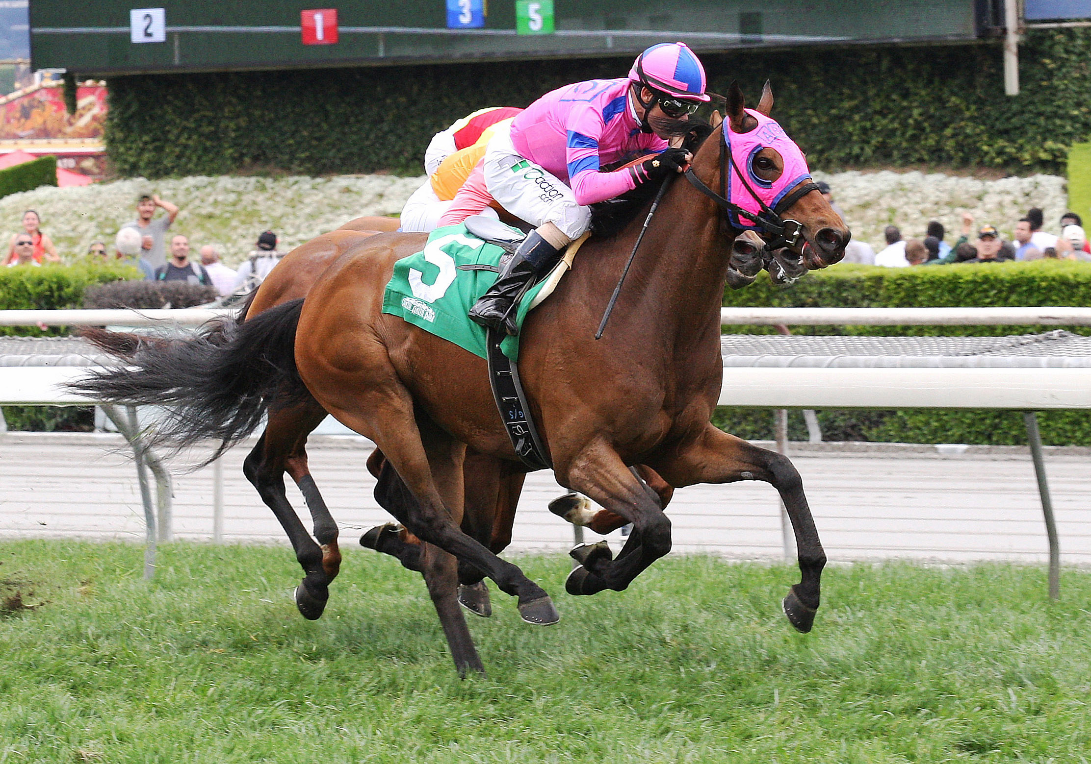 Ashleyluvssugar wins the Charles Whittingham Stakes