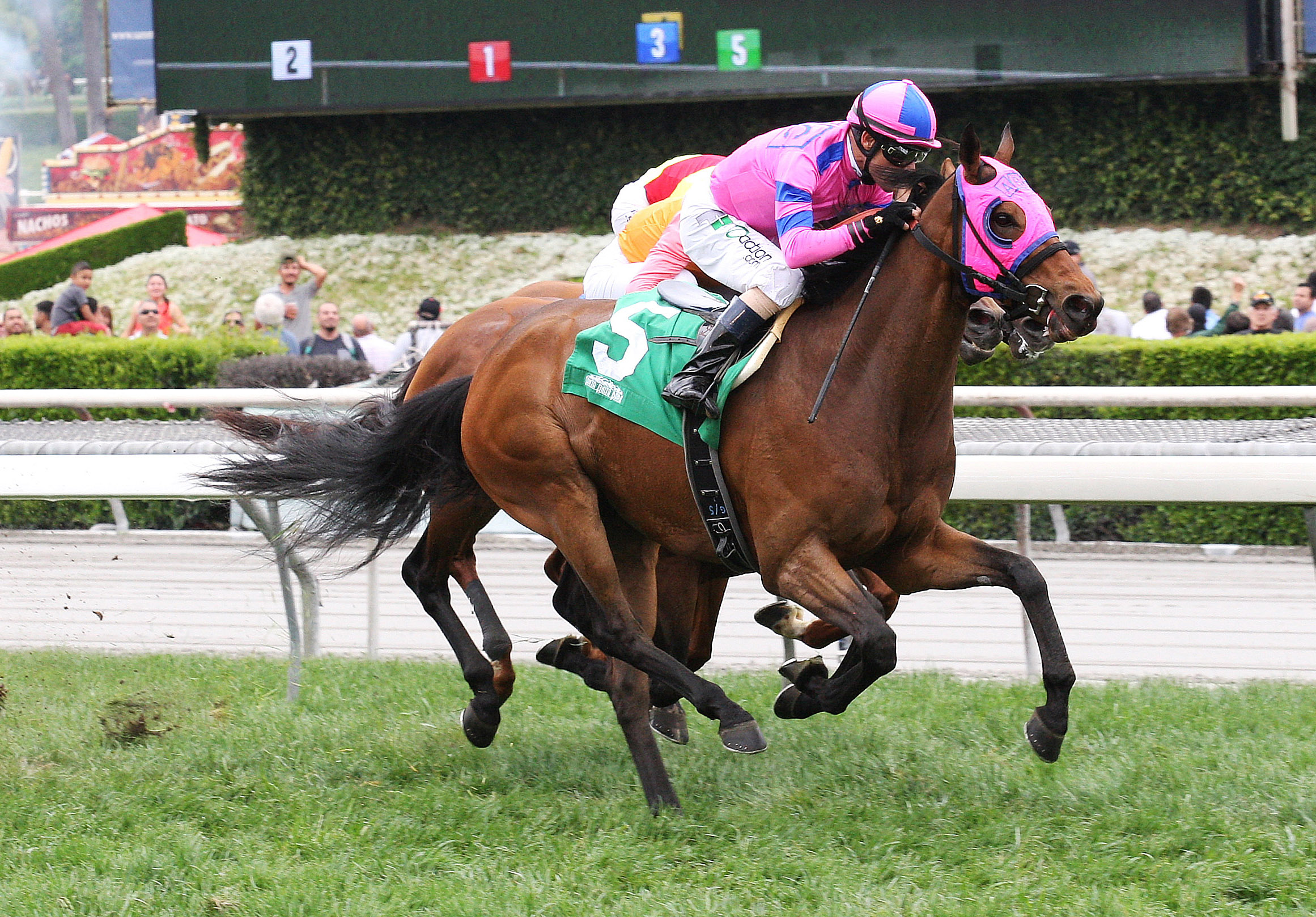 Ashleyluvssugar wins the Charles Whittingham