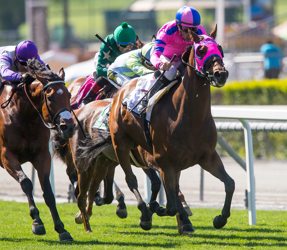 Ashleyluvssugar wins the Charles Whittingham Stakes