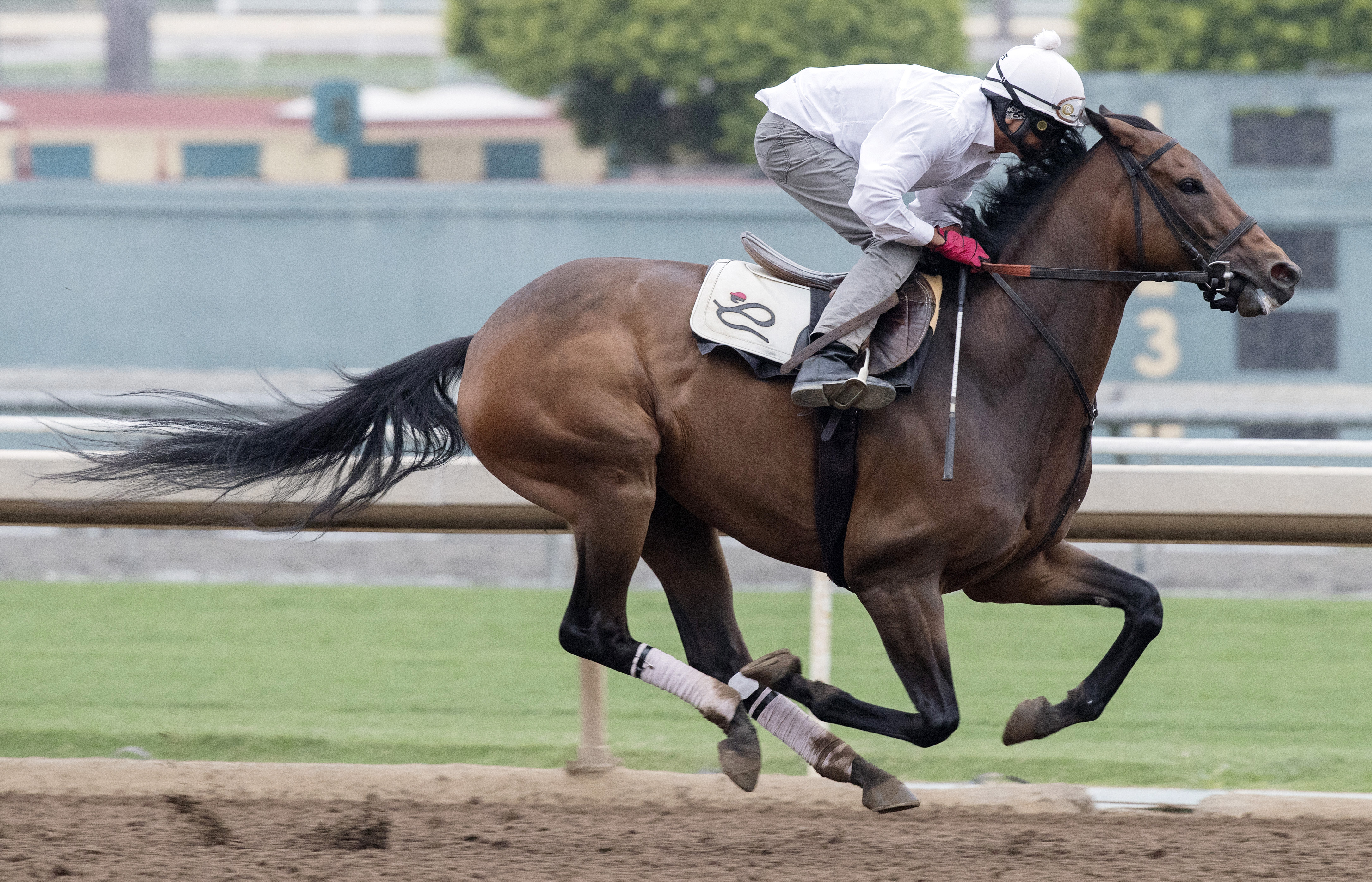 Ashleyluvssugar trains at Santa Anita on July 1, 2017