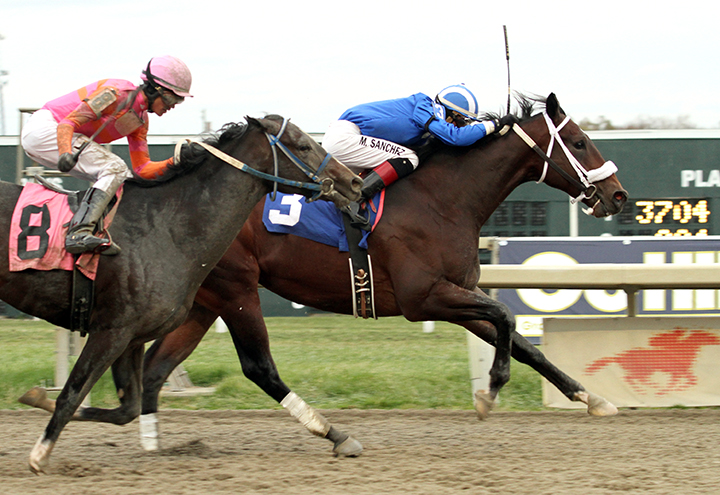 Ashraq wins a Nov. 12 maiden race at Parx Racing