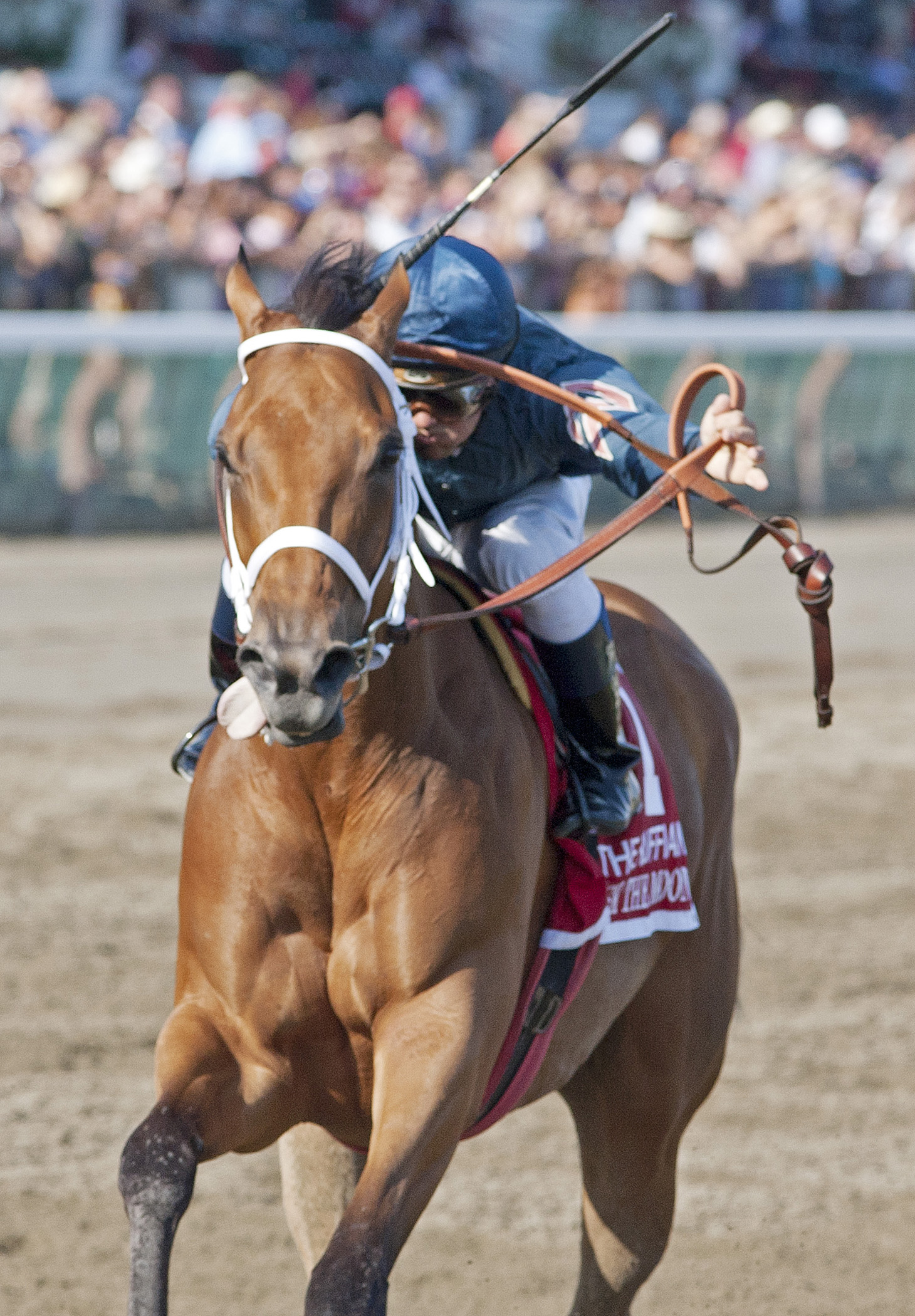 Ask the Moon/Ruffian