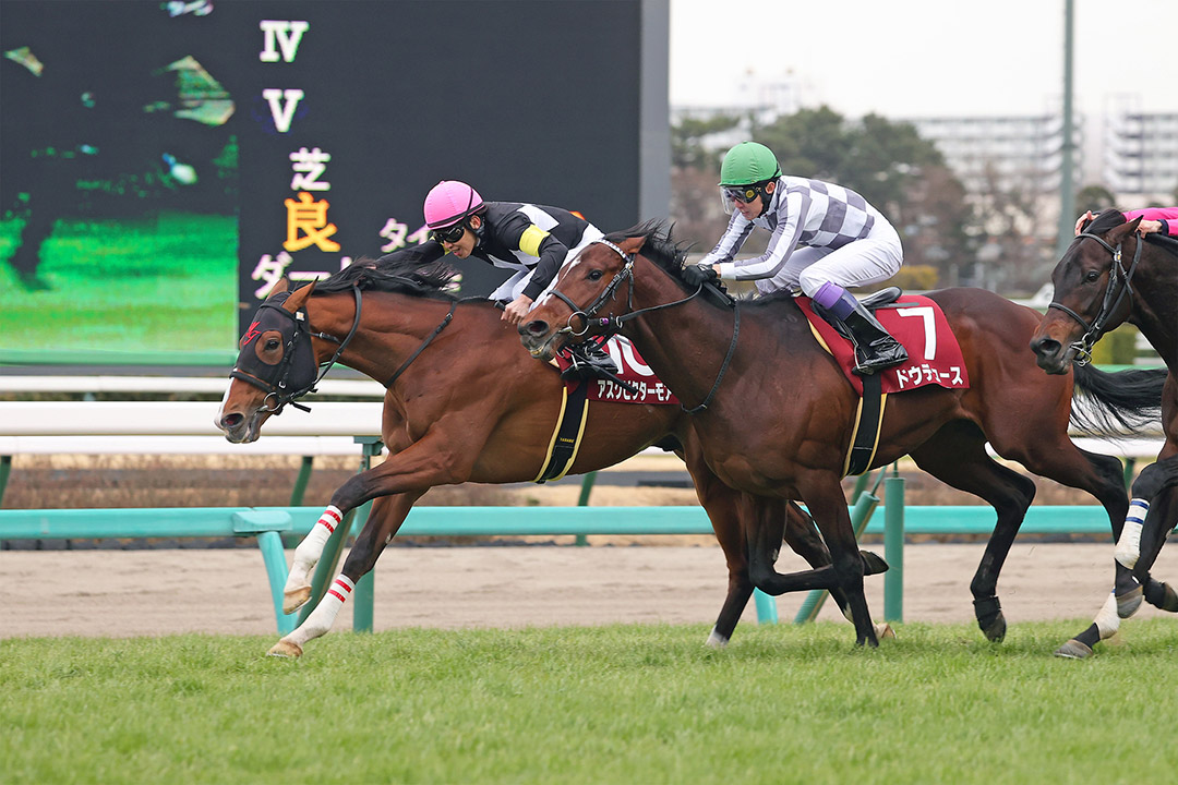 Ask Victor More (inside) beats Do Deuce to win the Hochi Hai Yayoi Sho Deep Impact Kinen at Nakayama Racecourse