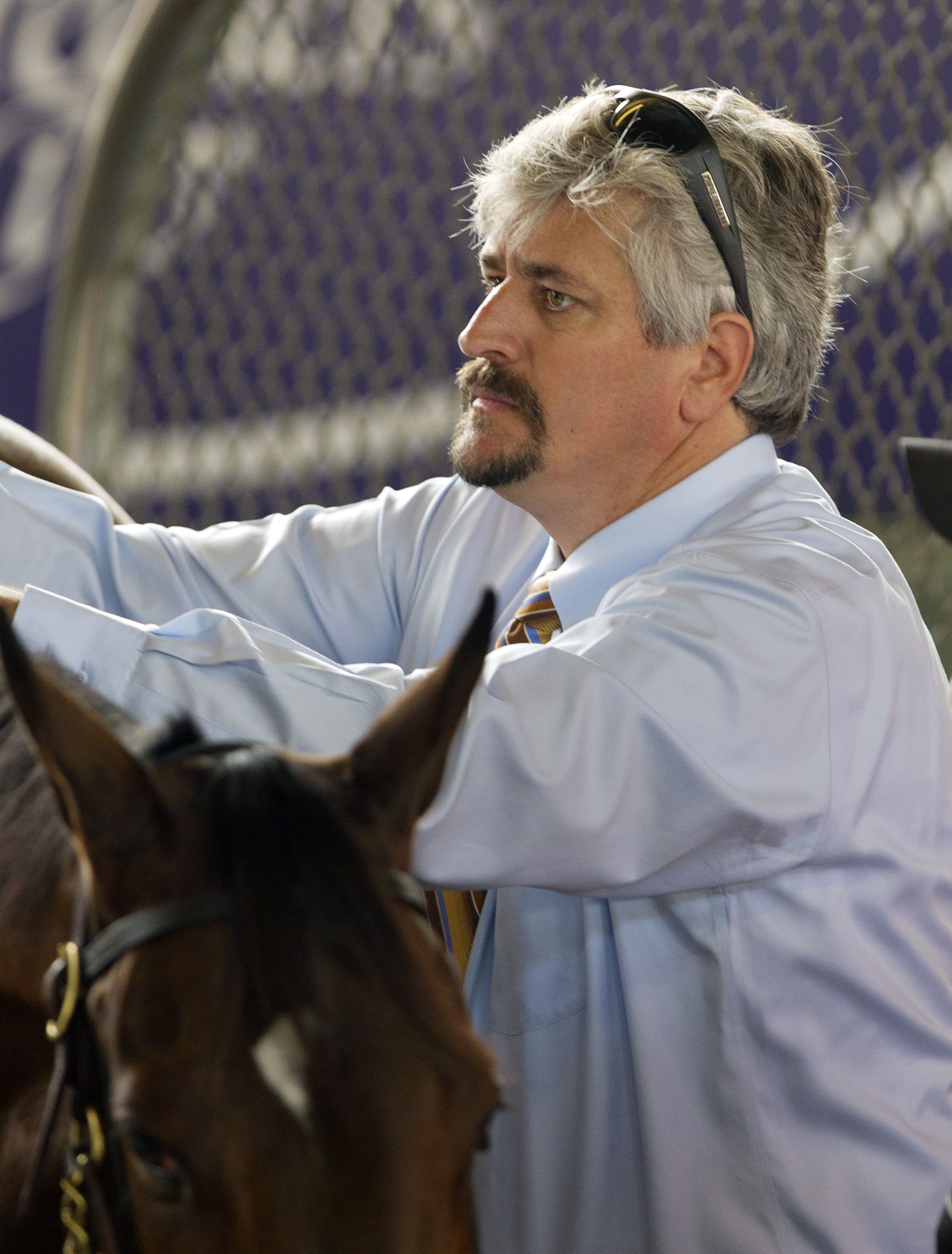 Steve Asmussen
