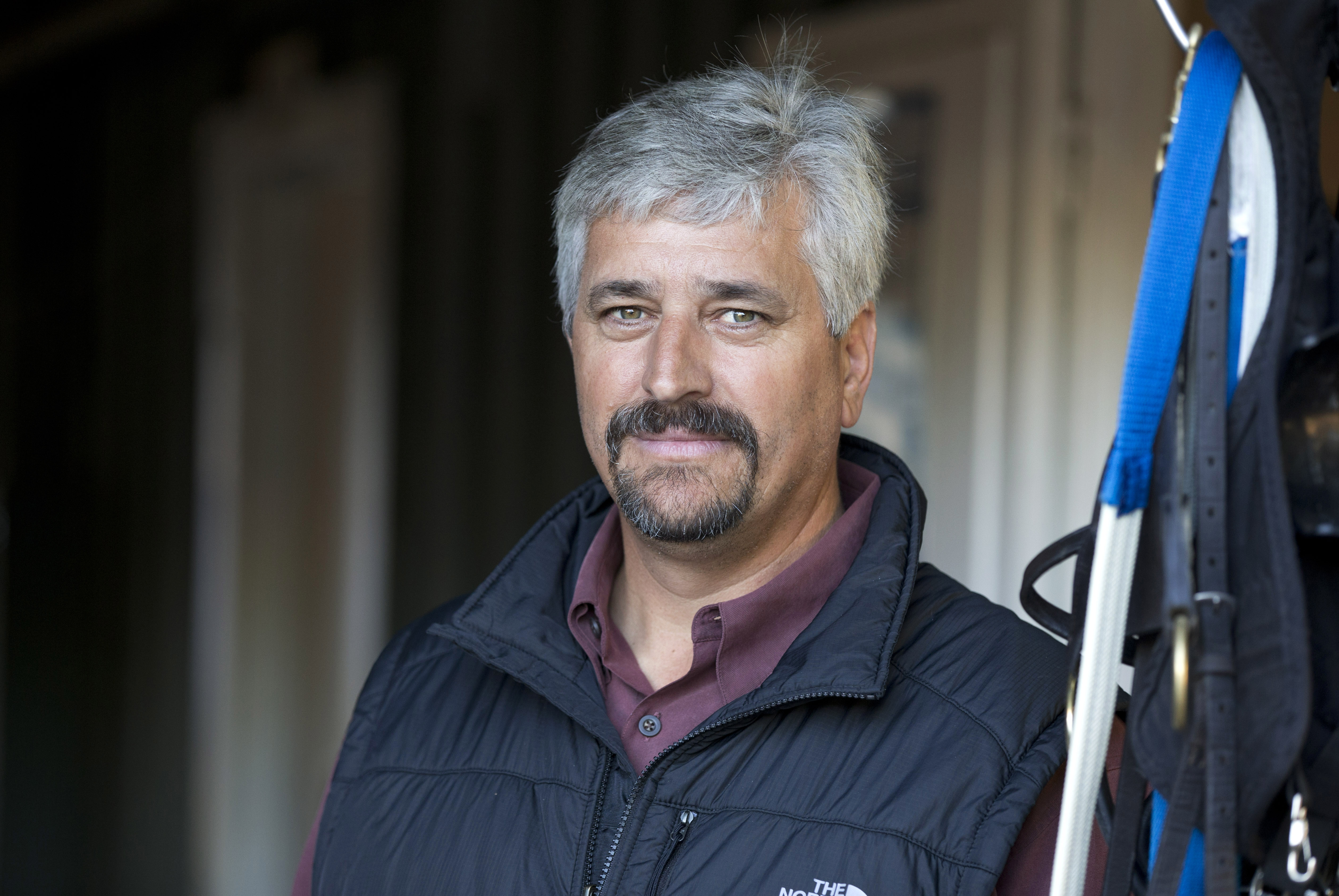 Trainer Steve Asmussen