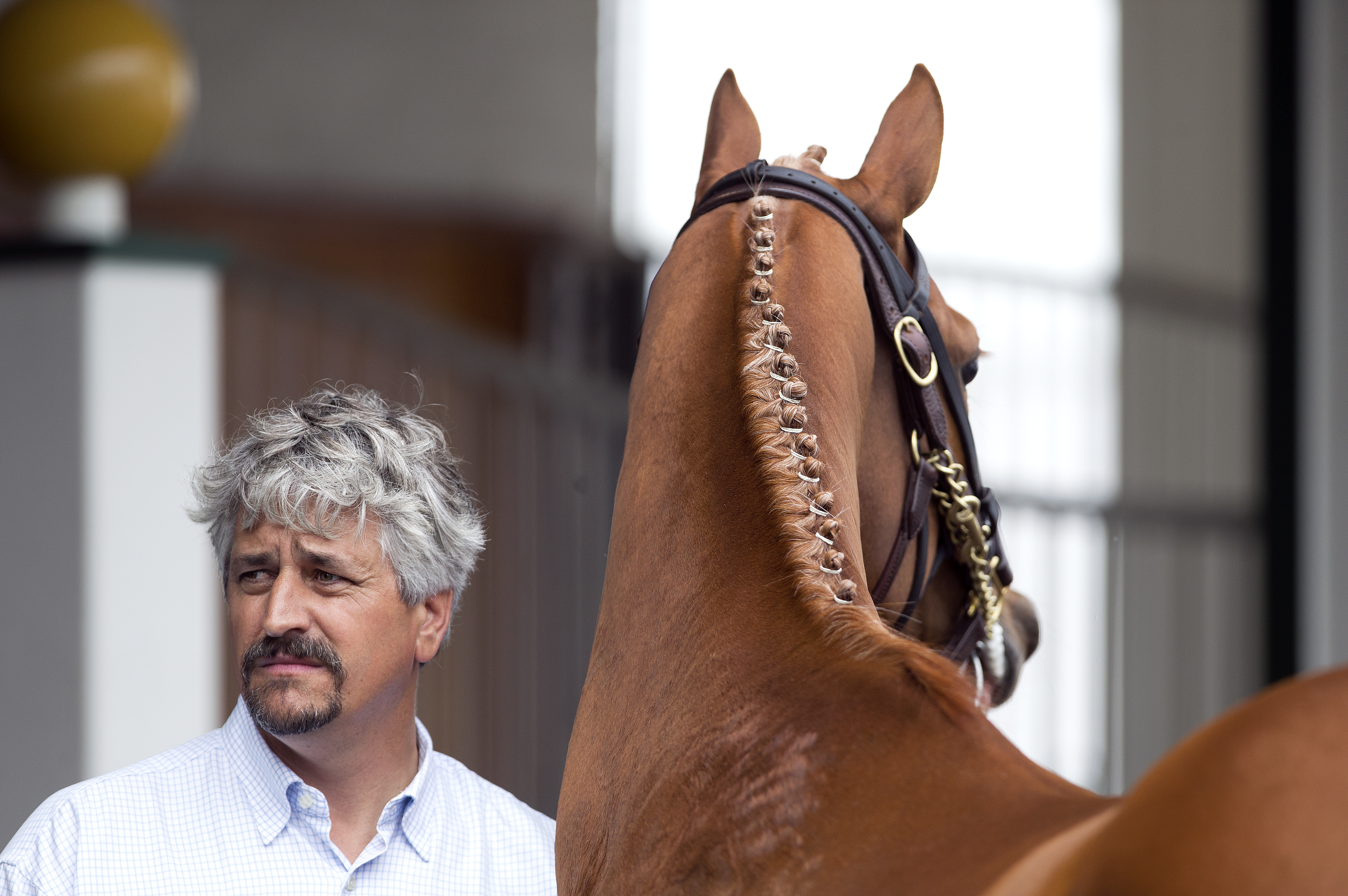 Steve Asmussen and Tapiture