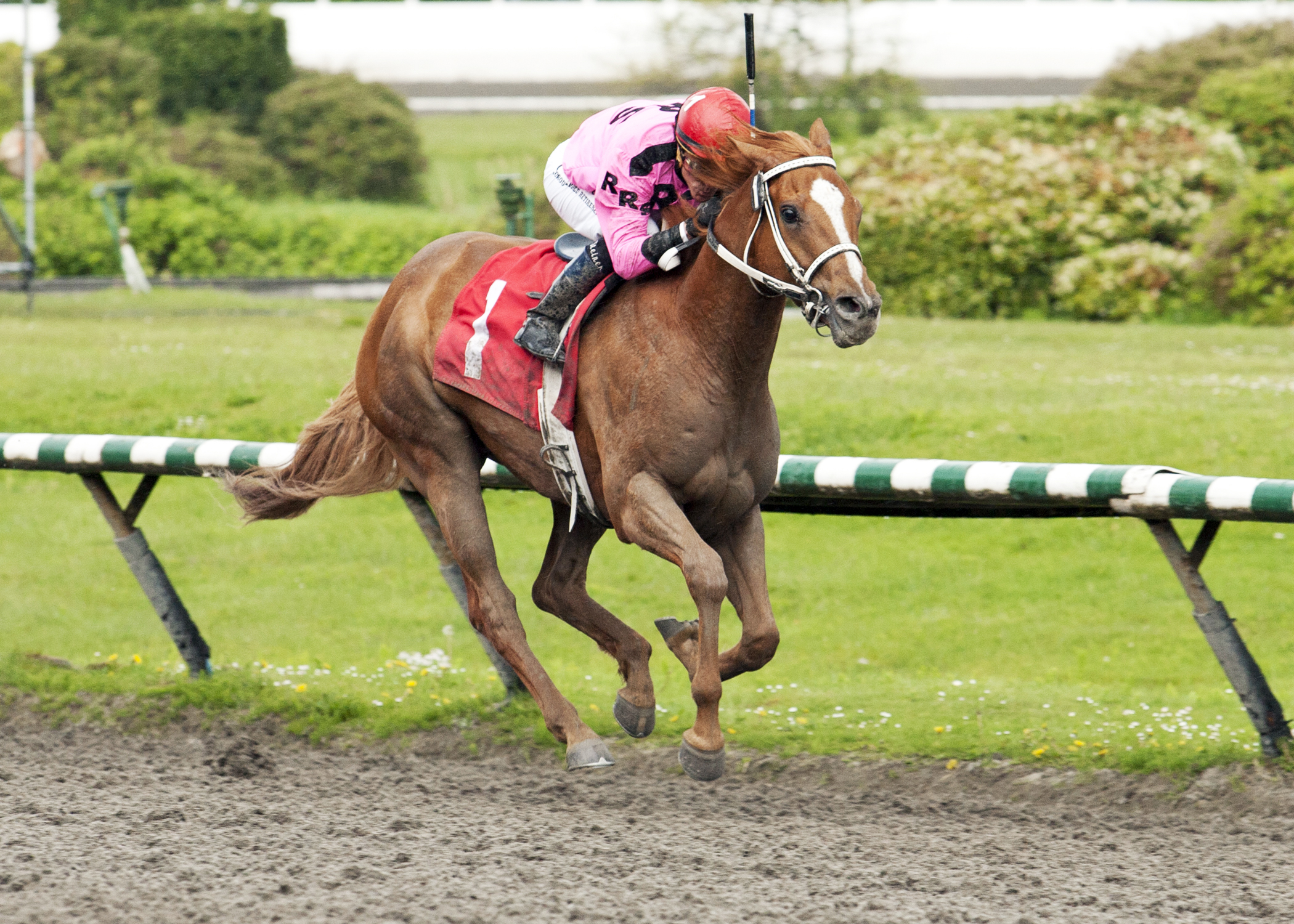 Aspen Getaway wins the Jim Coleman Stakes