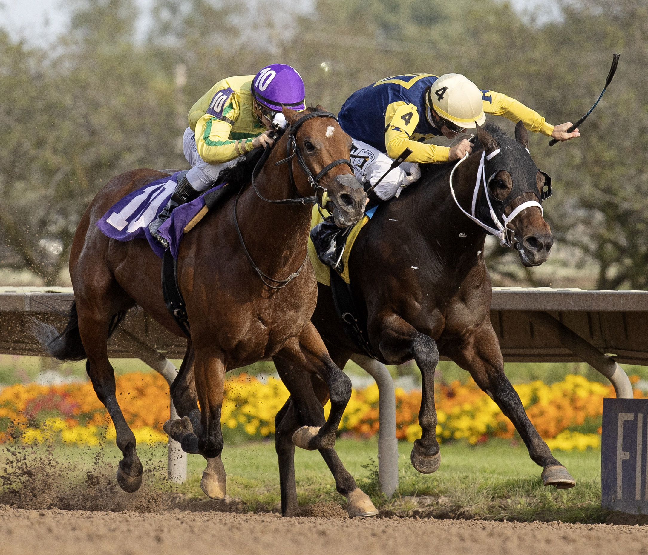 Adios Asher (right) Daufuskie Island / Aspirant Stakes