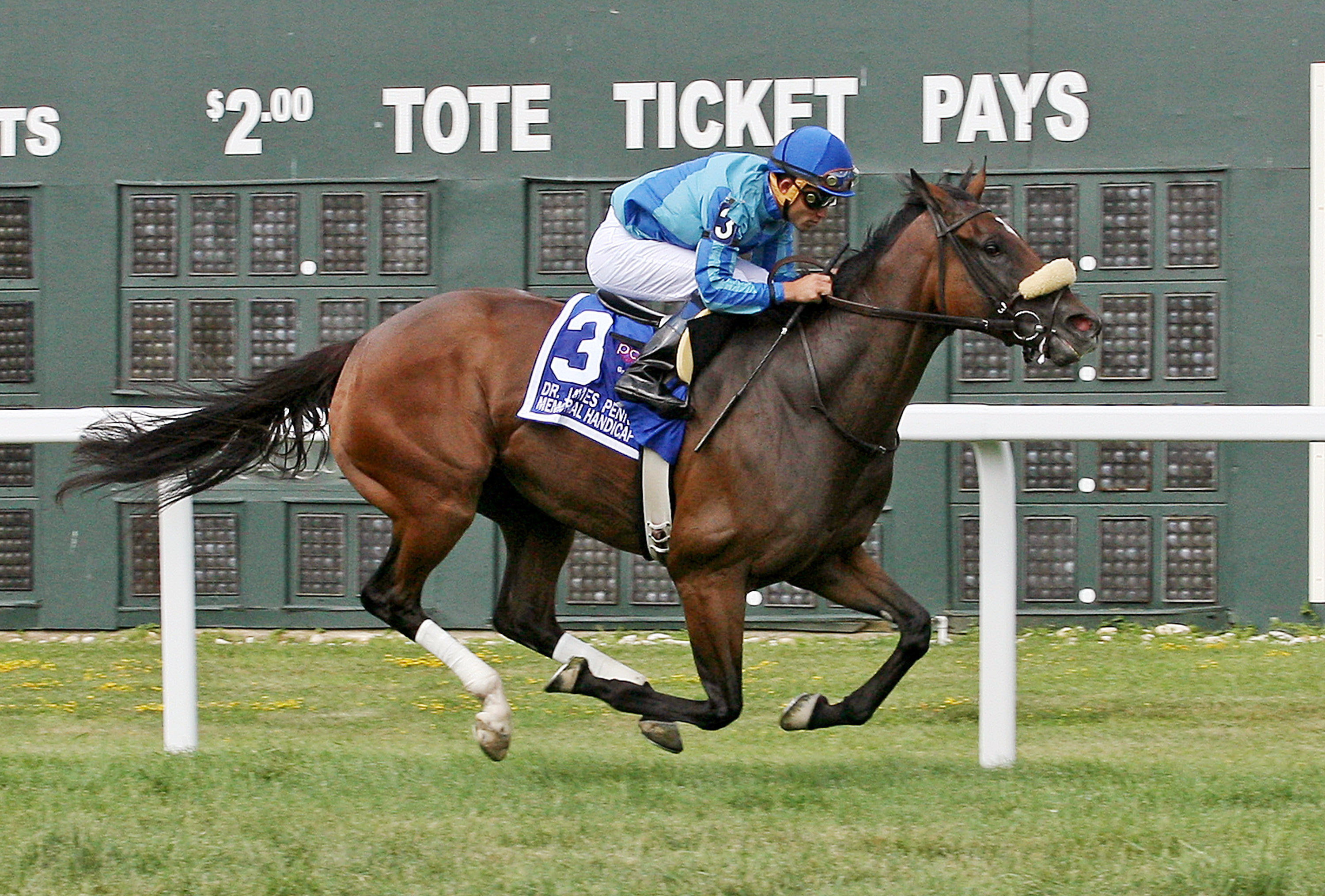 Assateague wins the Penny Memorial