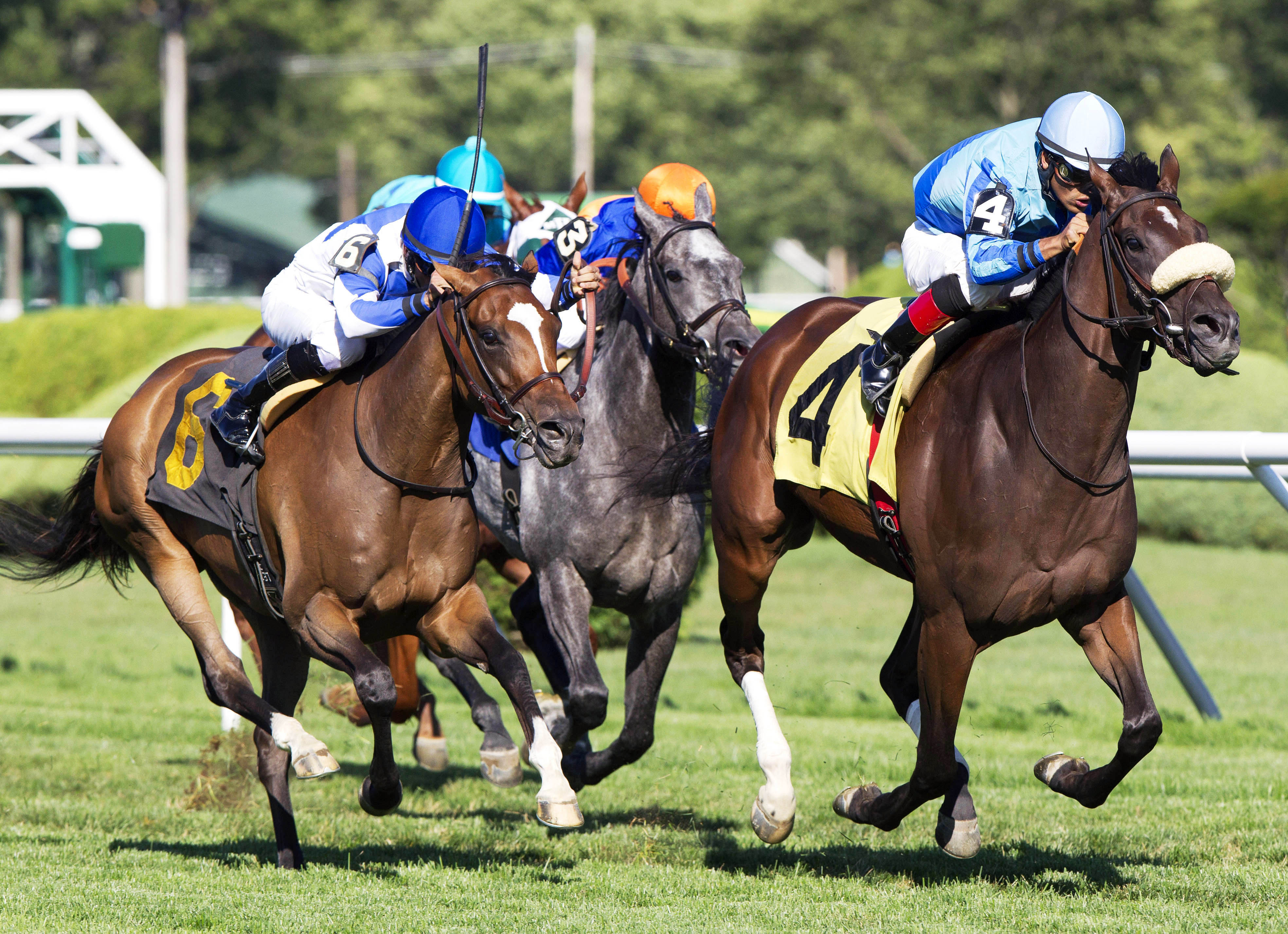 Assateague wins the 2013 De La Rose Stakes