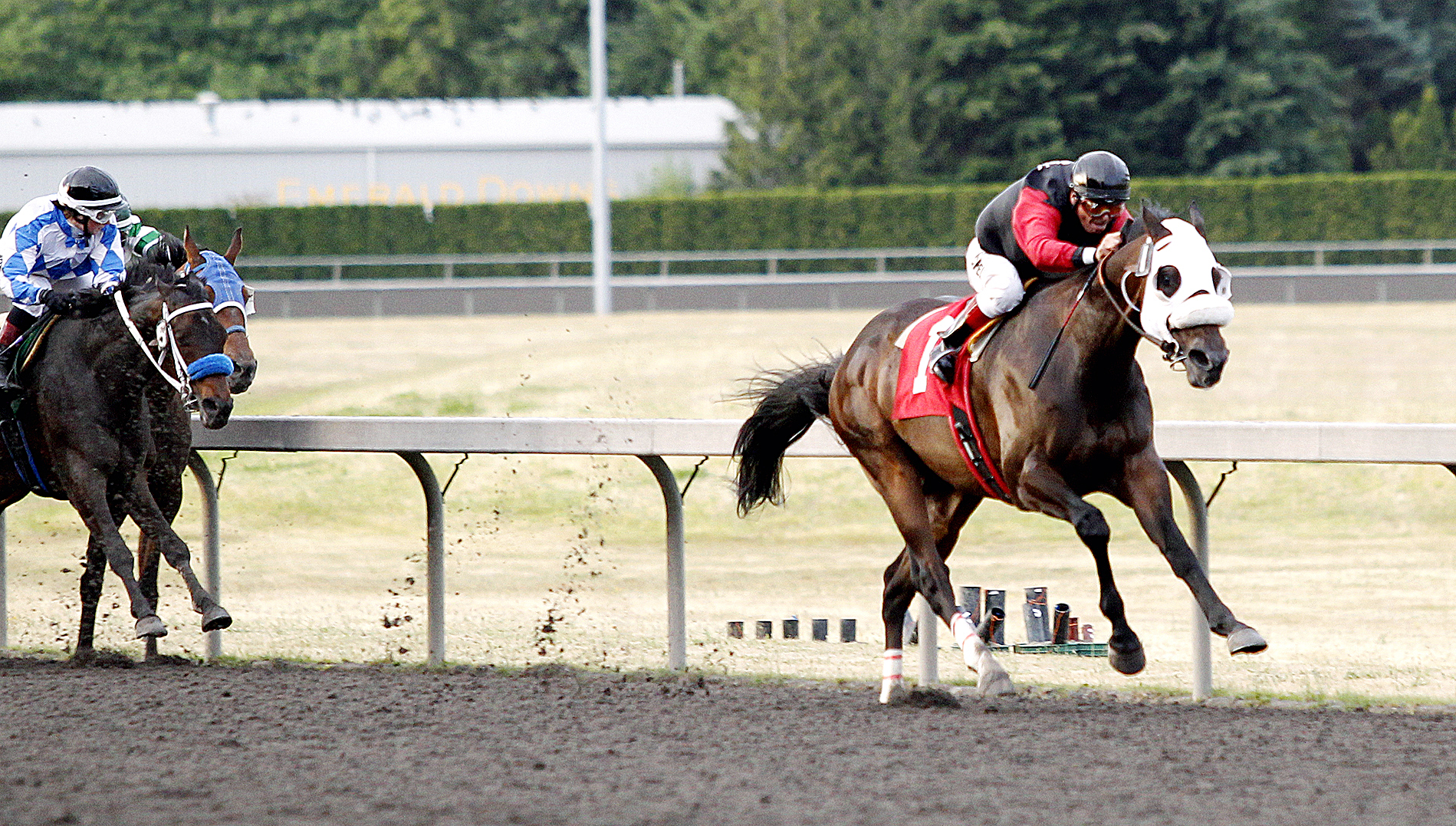 Assessment wins the Carl Jr.'s Purse at Emerald Downs