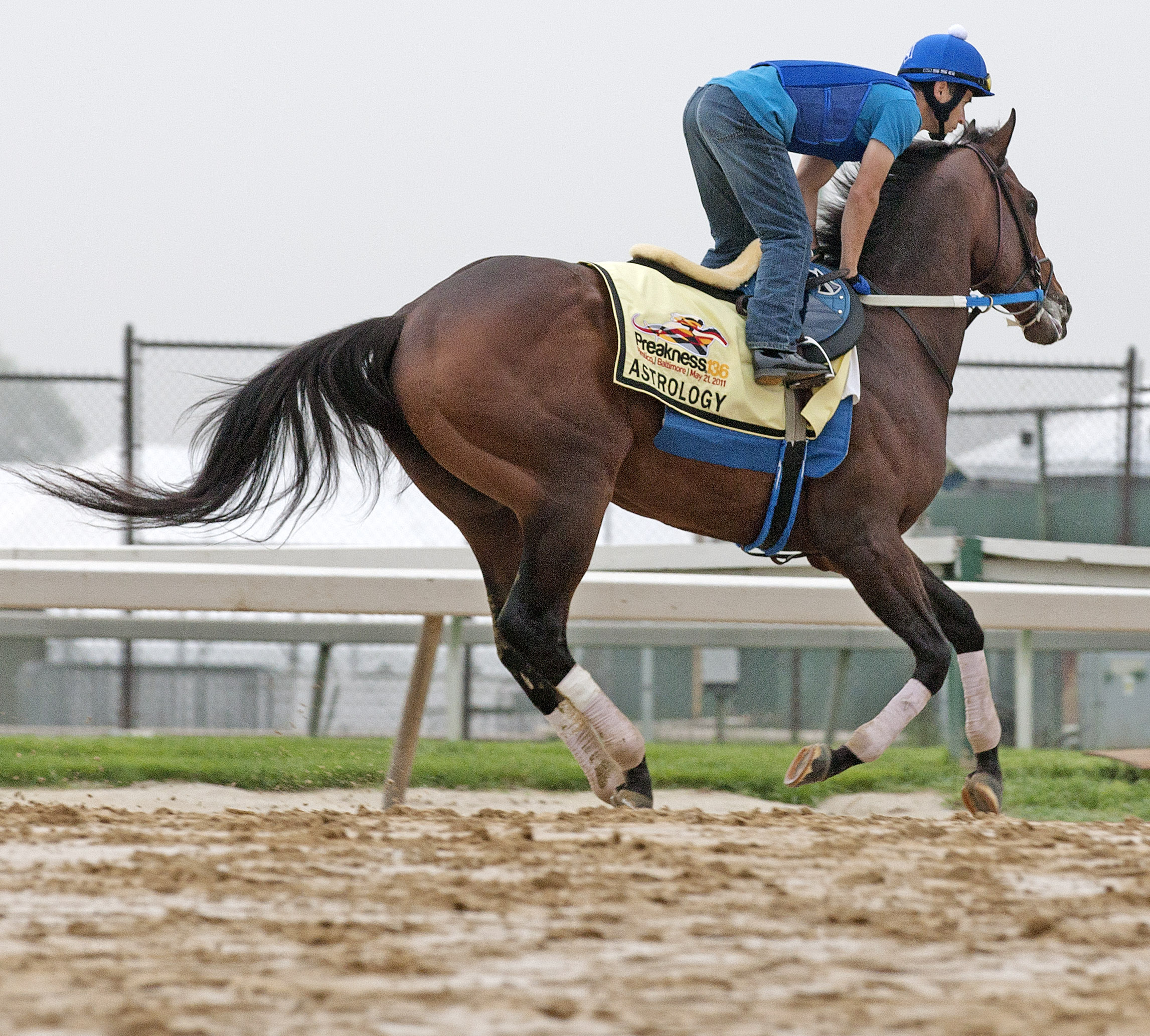 Astrology/Thursday gallop