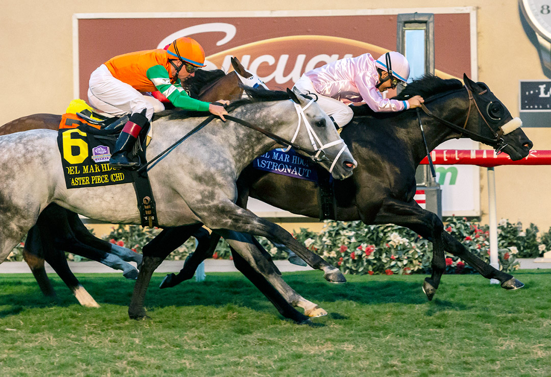 Master Piece (6) finishes second in the 2021 Del Mar Handicap at Del Mar