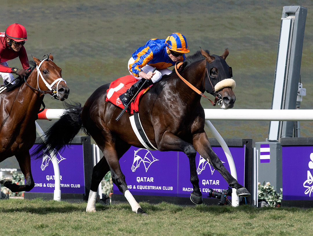 Astronomer wins the 2021 Qatar Golden Mile Stakes at Del Mar Thoroughbred Club
