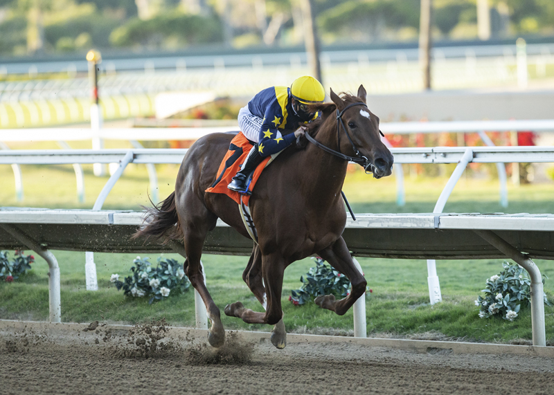 Astute wins Desi Arnaz 11-14-2020