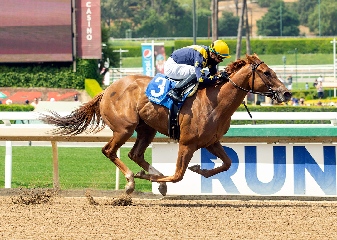 Astute wins the 2021 Angels Flight Stakes at Santa Anita Park
